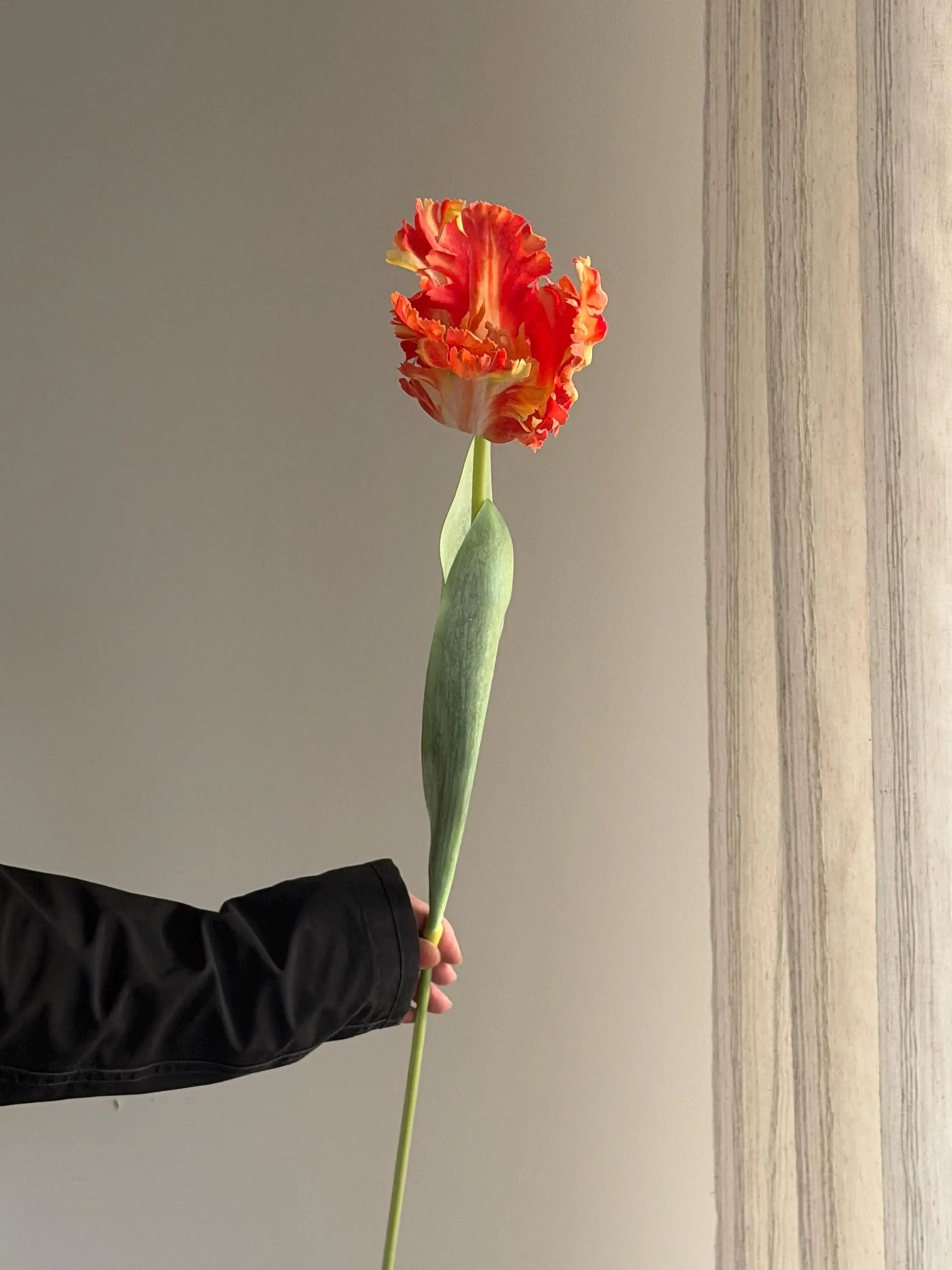 Real Touch parrot tulips, artificial tulips Celesta Atelier