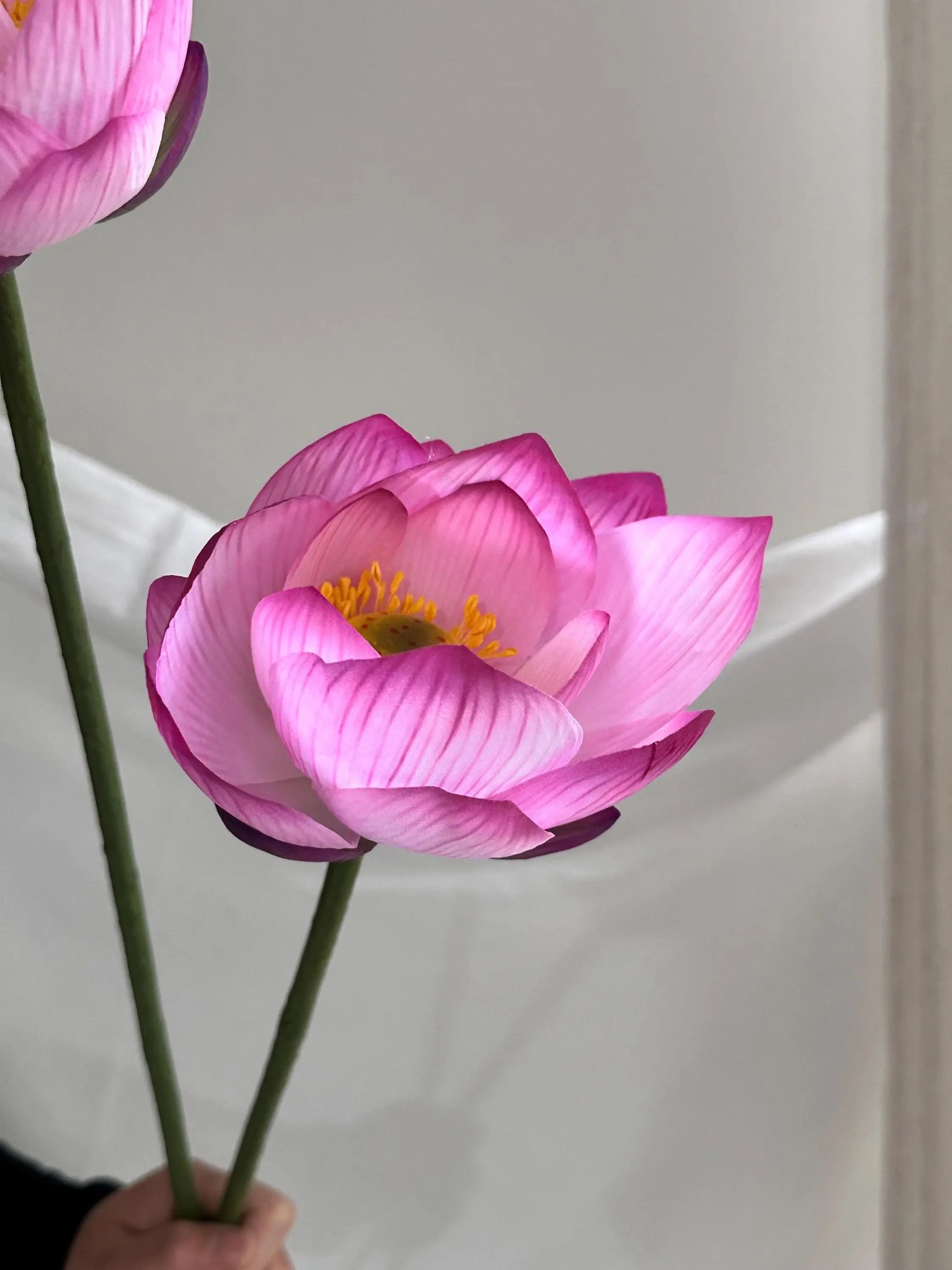Artificial Lotus Flower stem Faux Flower Place