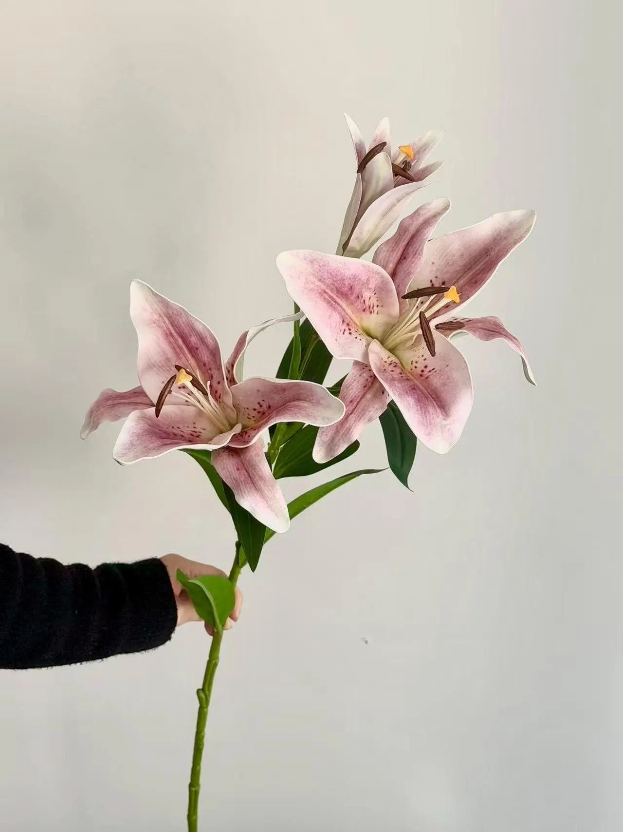 Real Touch Moisturizing Lily Celesta Atelier