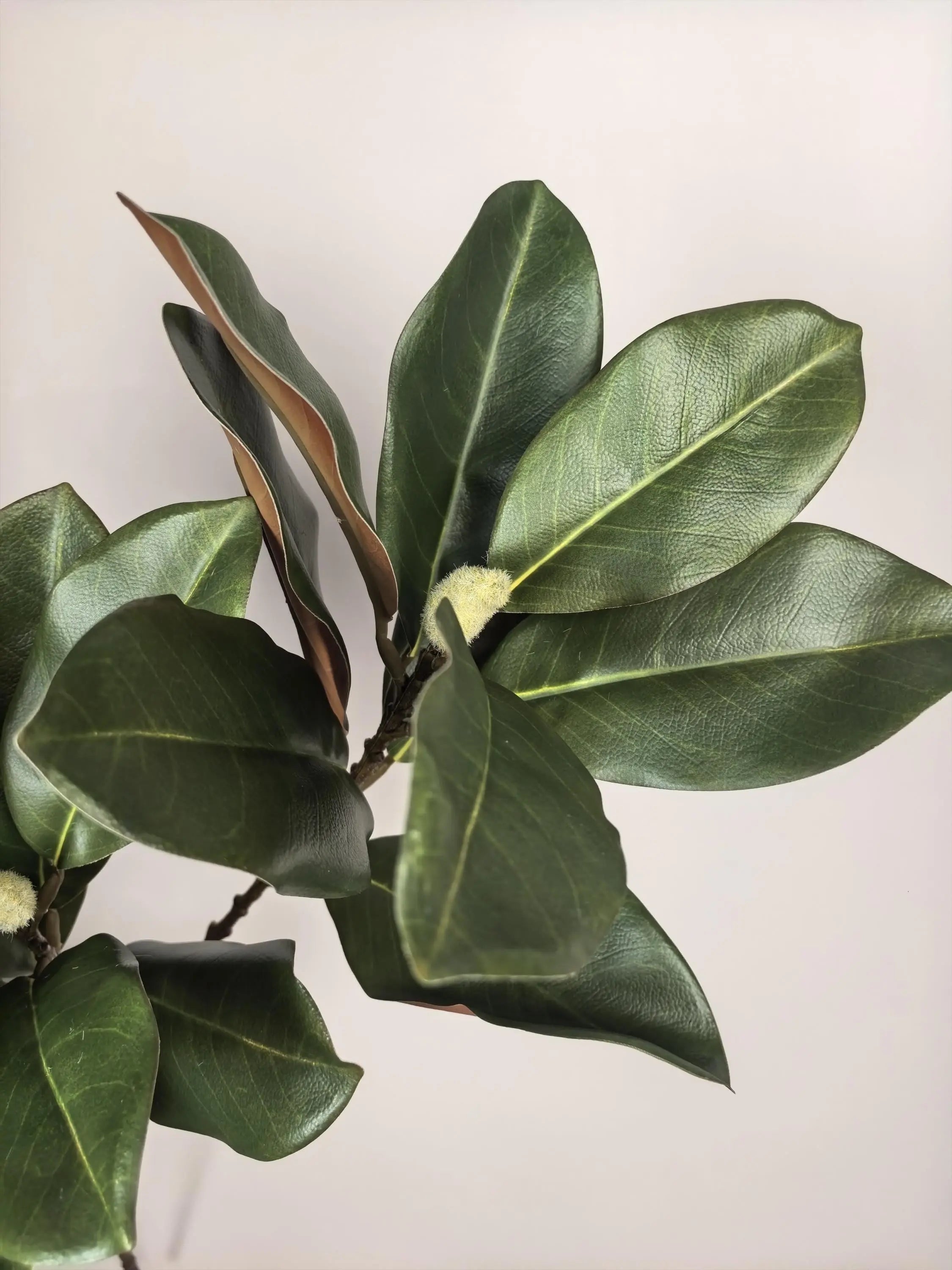Real Touch Magnolia Leaf Branch Celesta Atelier