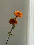 Faux Matilija Poppy Celesta Atelier