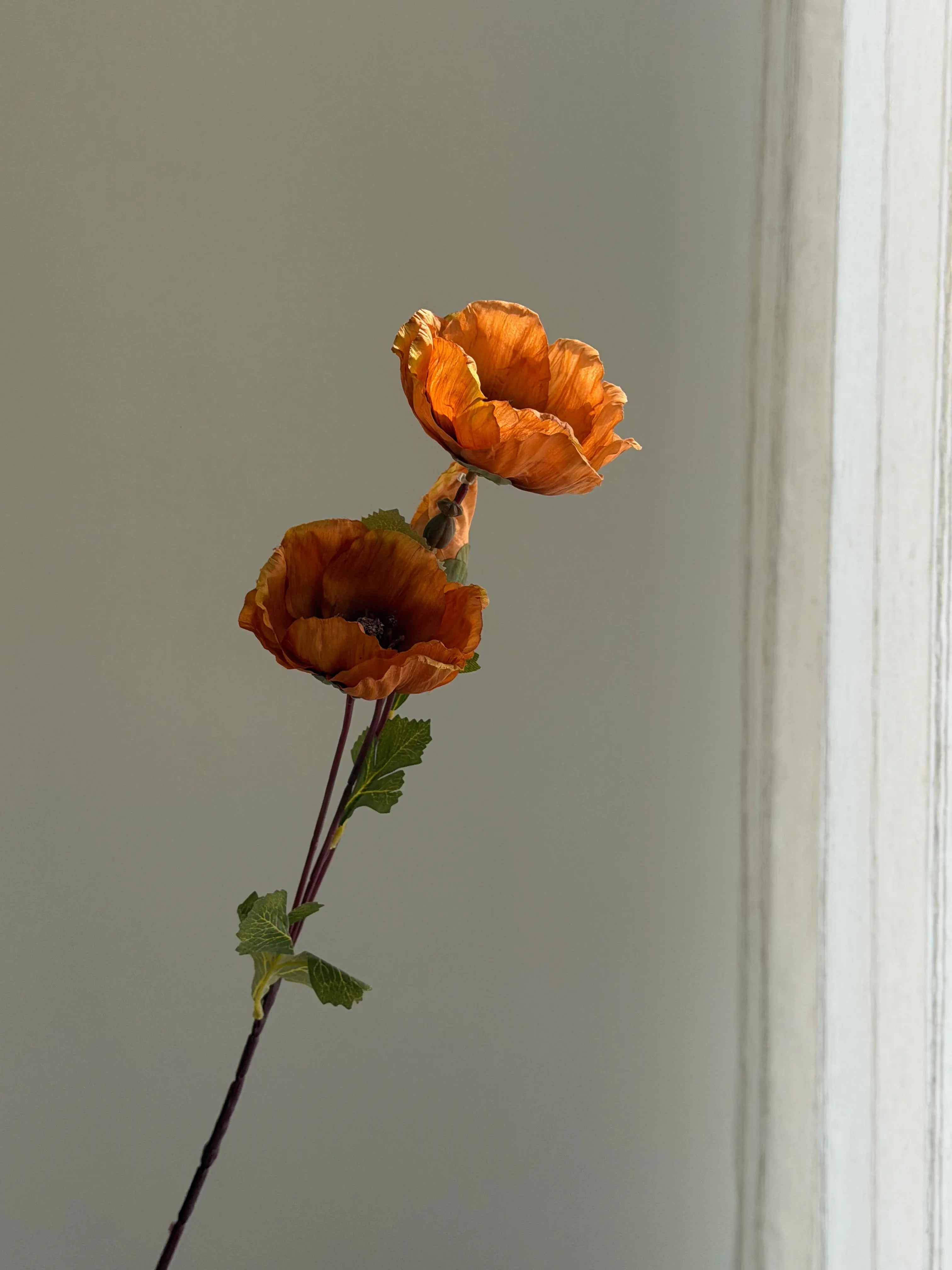 Faux Matilija Poppy Celesta Atelier