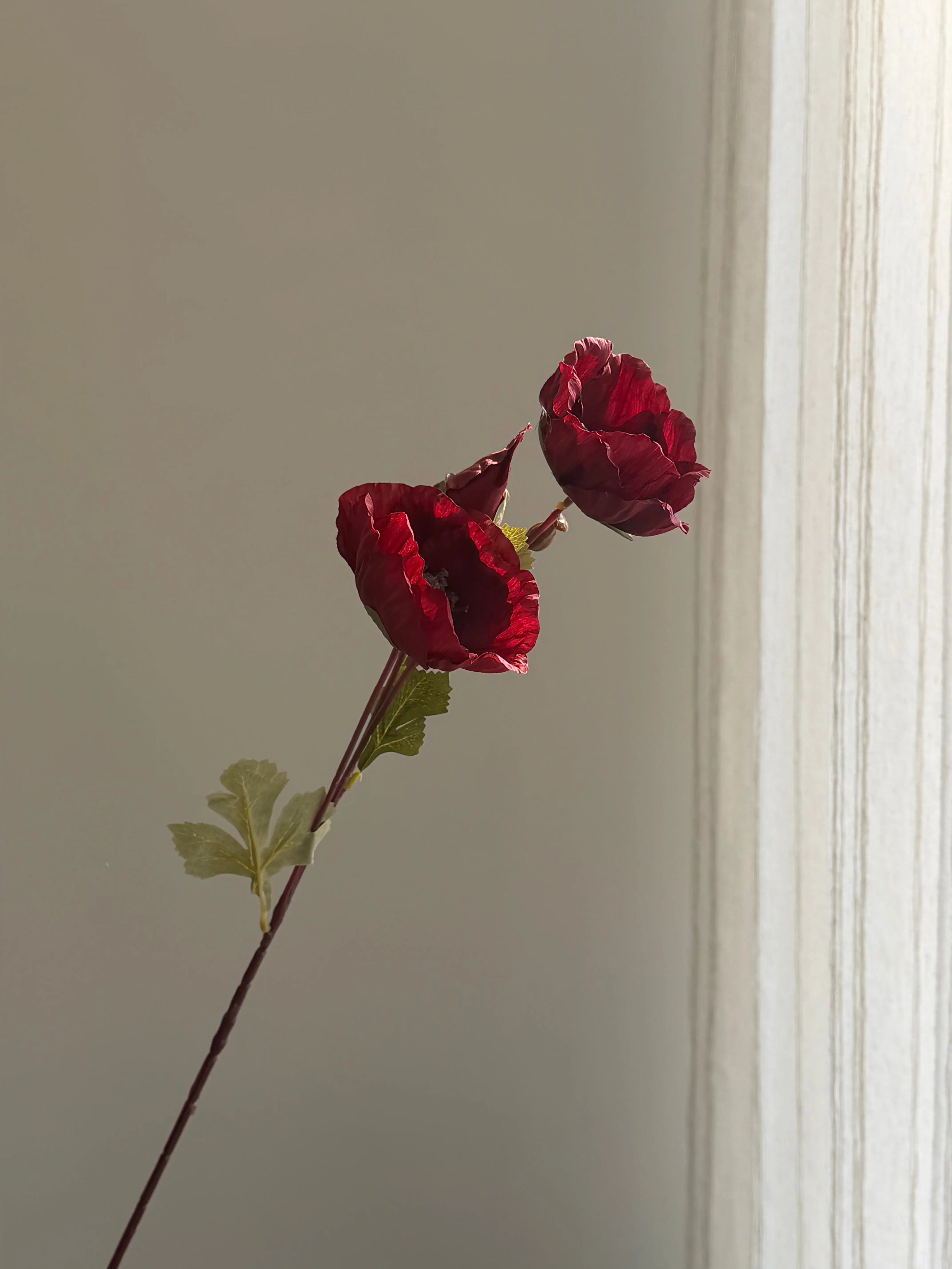 Faux Matilija Poppy Celesta Atelier