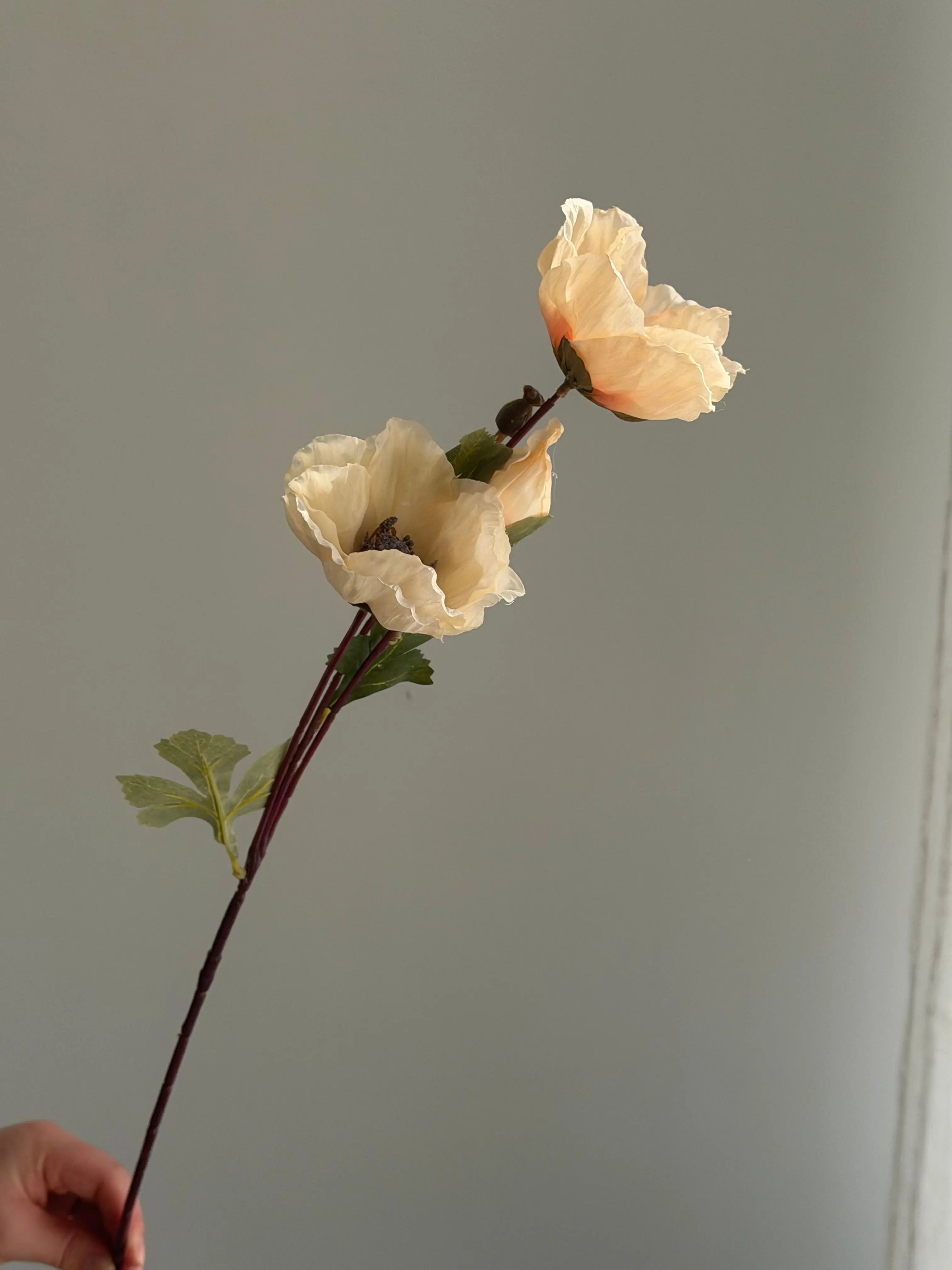 Faux Matilija Poppy Celesta Atelier