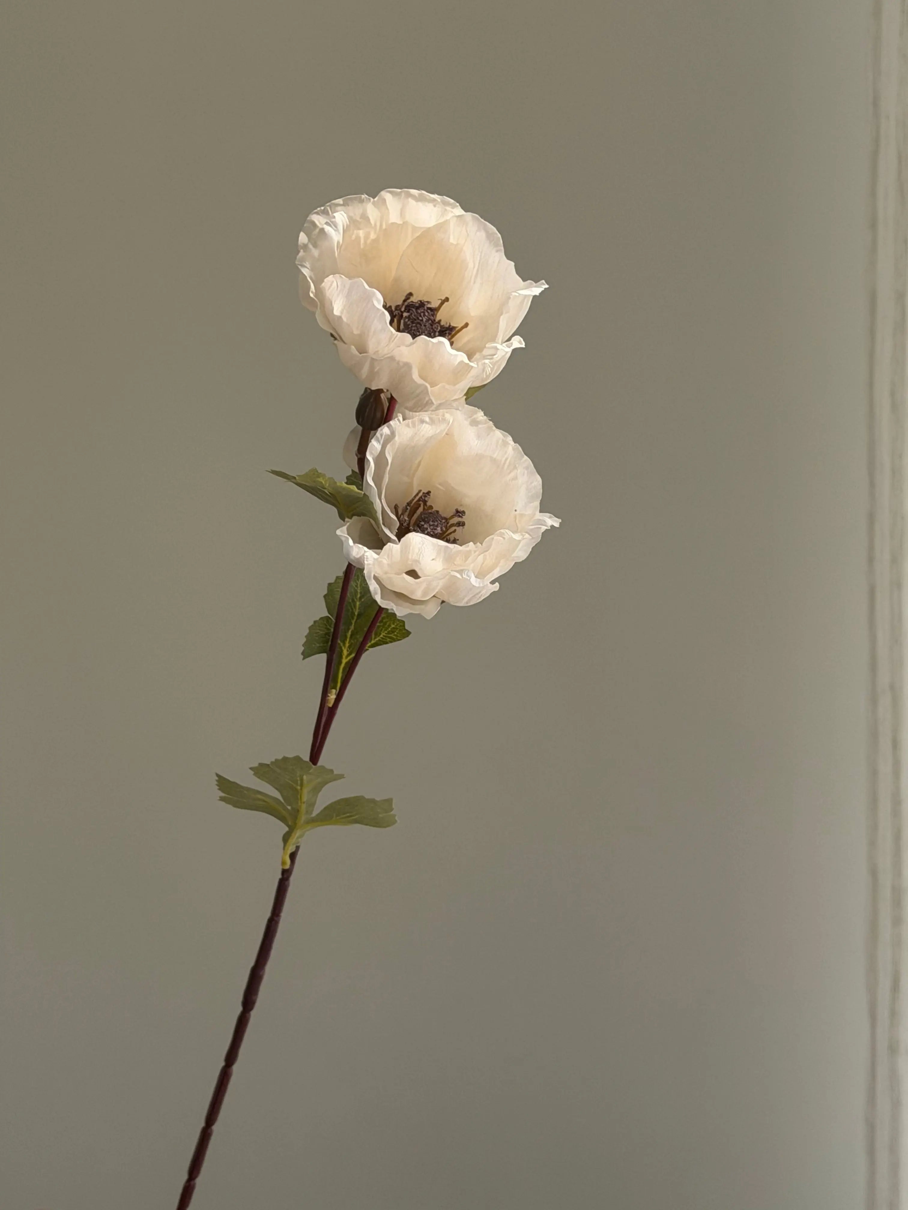 Faux Matilija Poppy Celesta Atelier