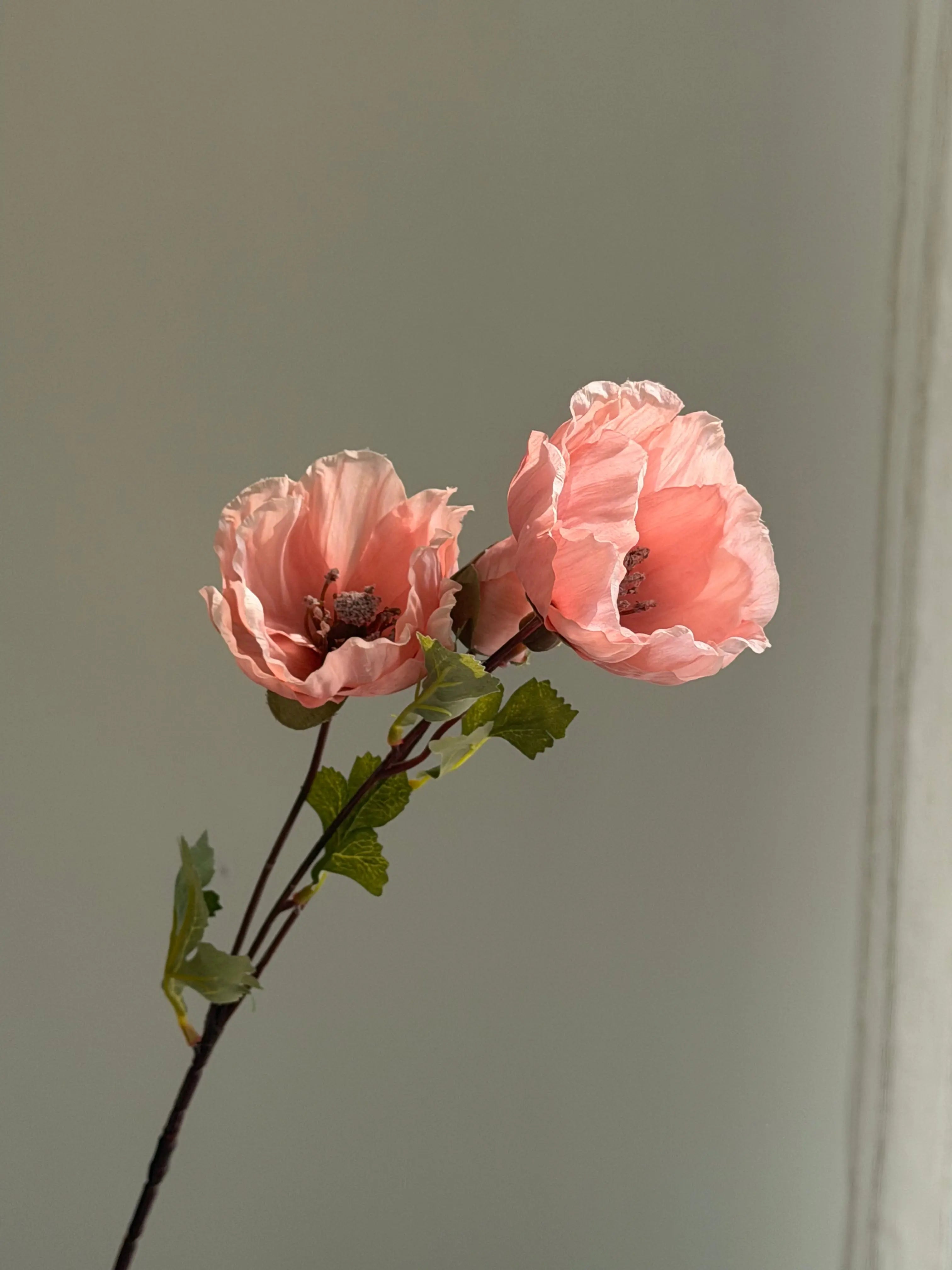 Faux Matilija Poppy Celesta Atelier