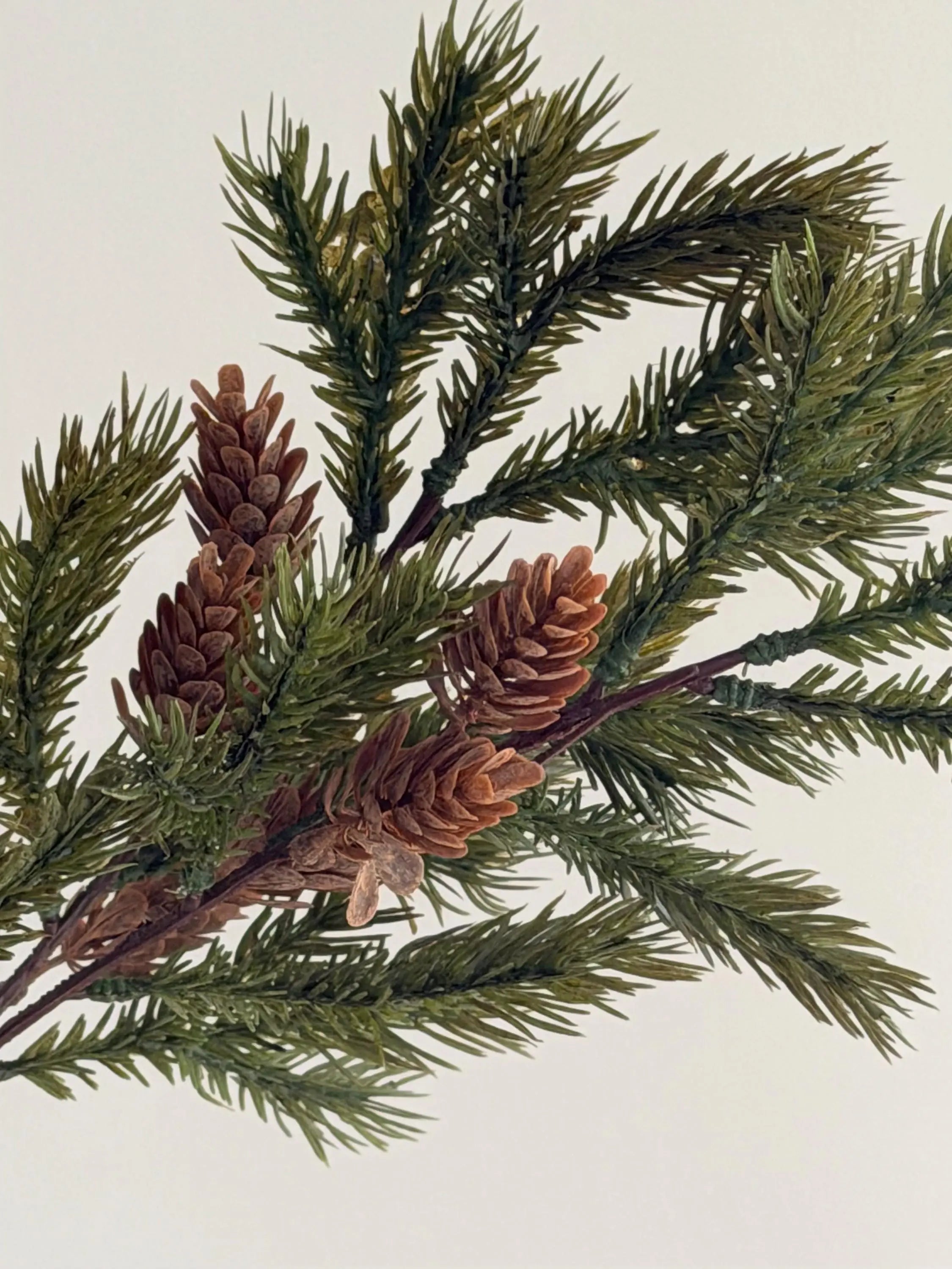 Faux Winter Pine Branch Celesta Atelier