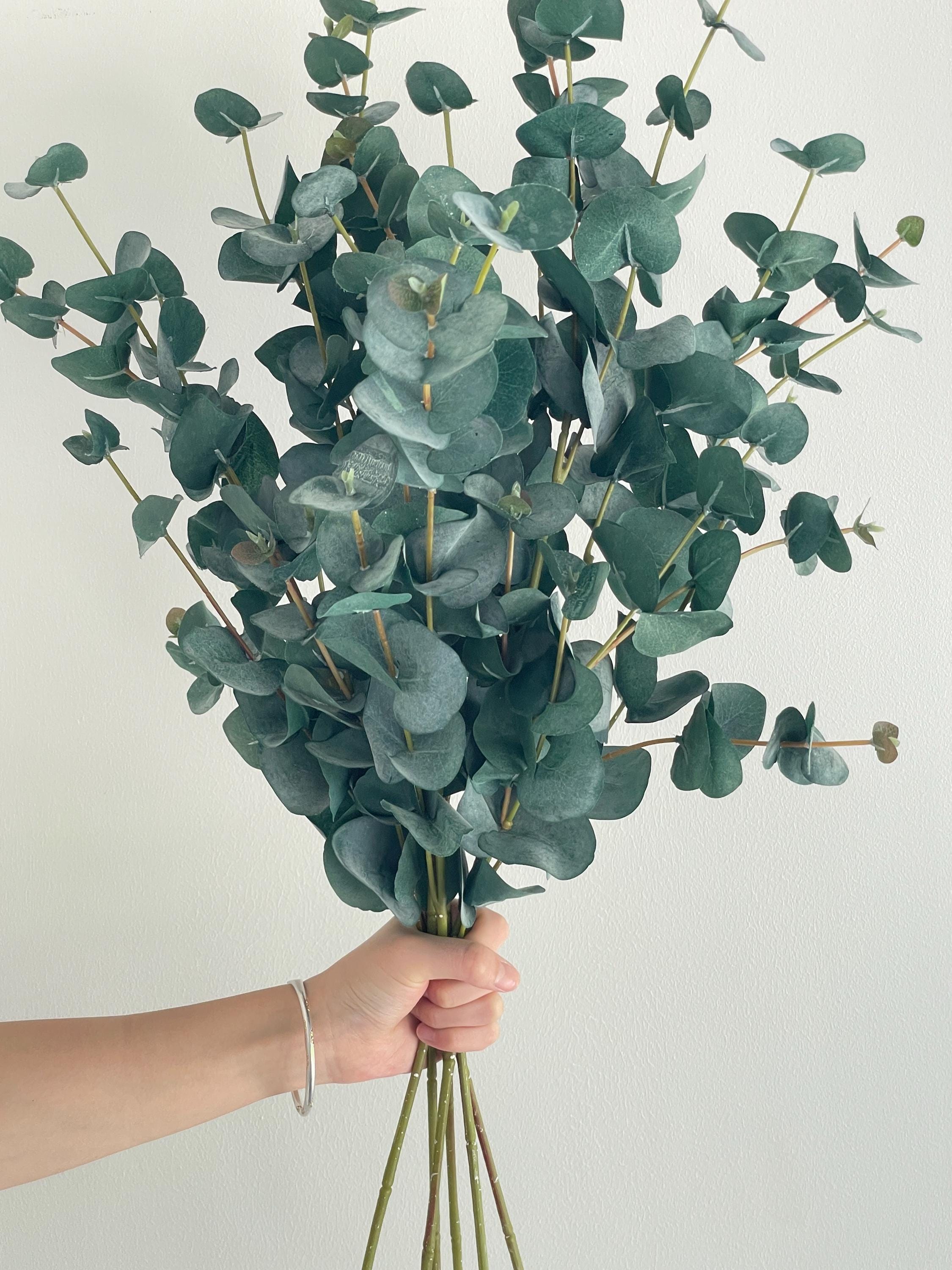 Artificial Eucalyptus Branch