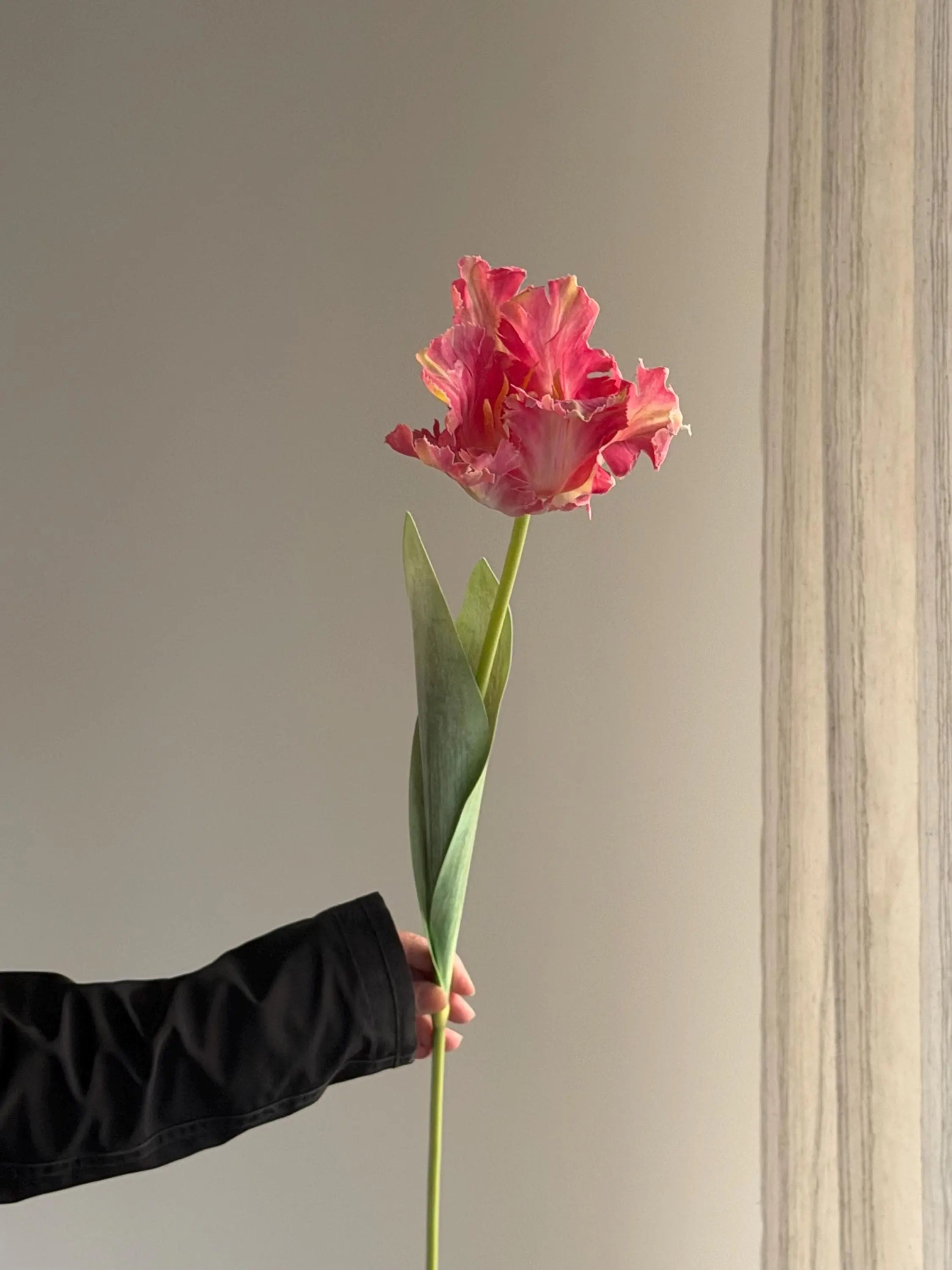 Real Touch parrot tulips, artificial tulips Celesta Atelier
