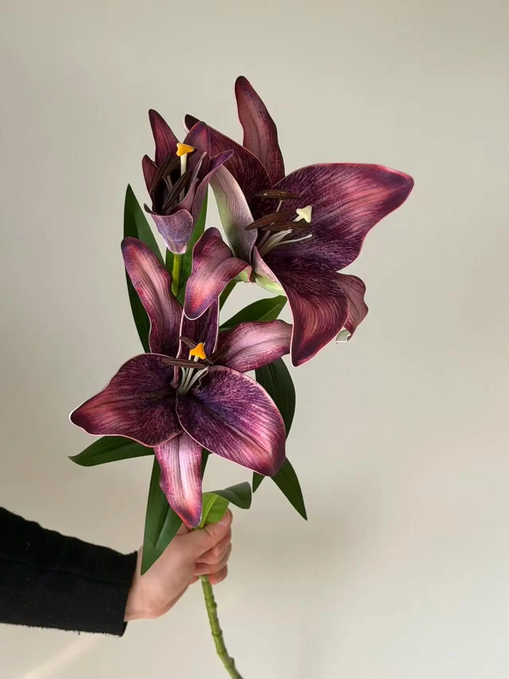 Real Touch Moisturizing Lily Celesta Atelier