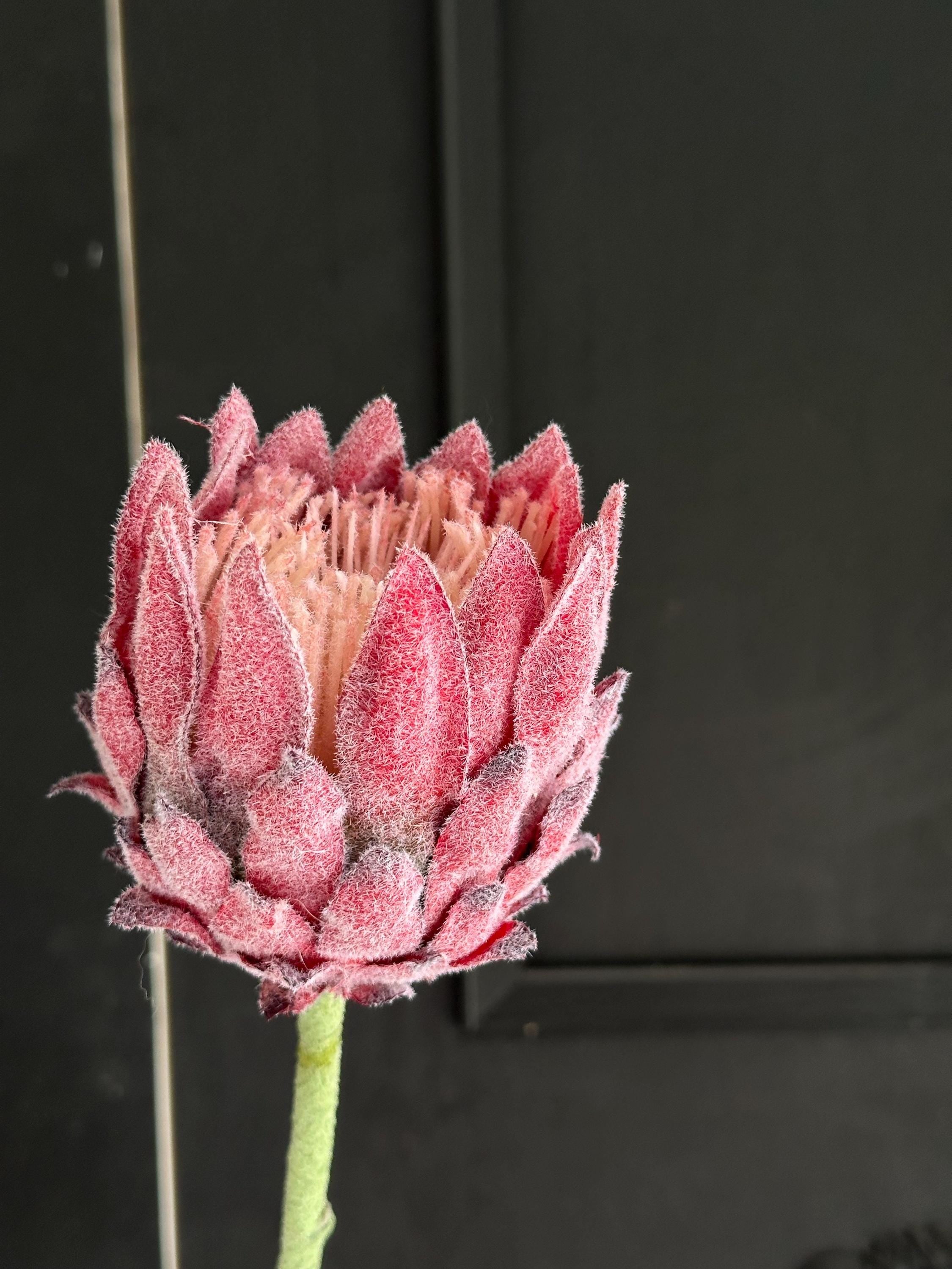 Artificial Green Protea Stem