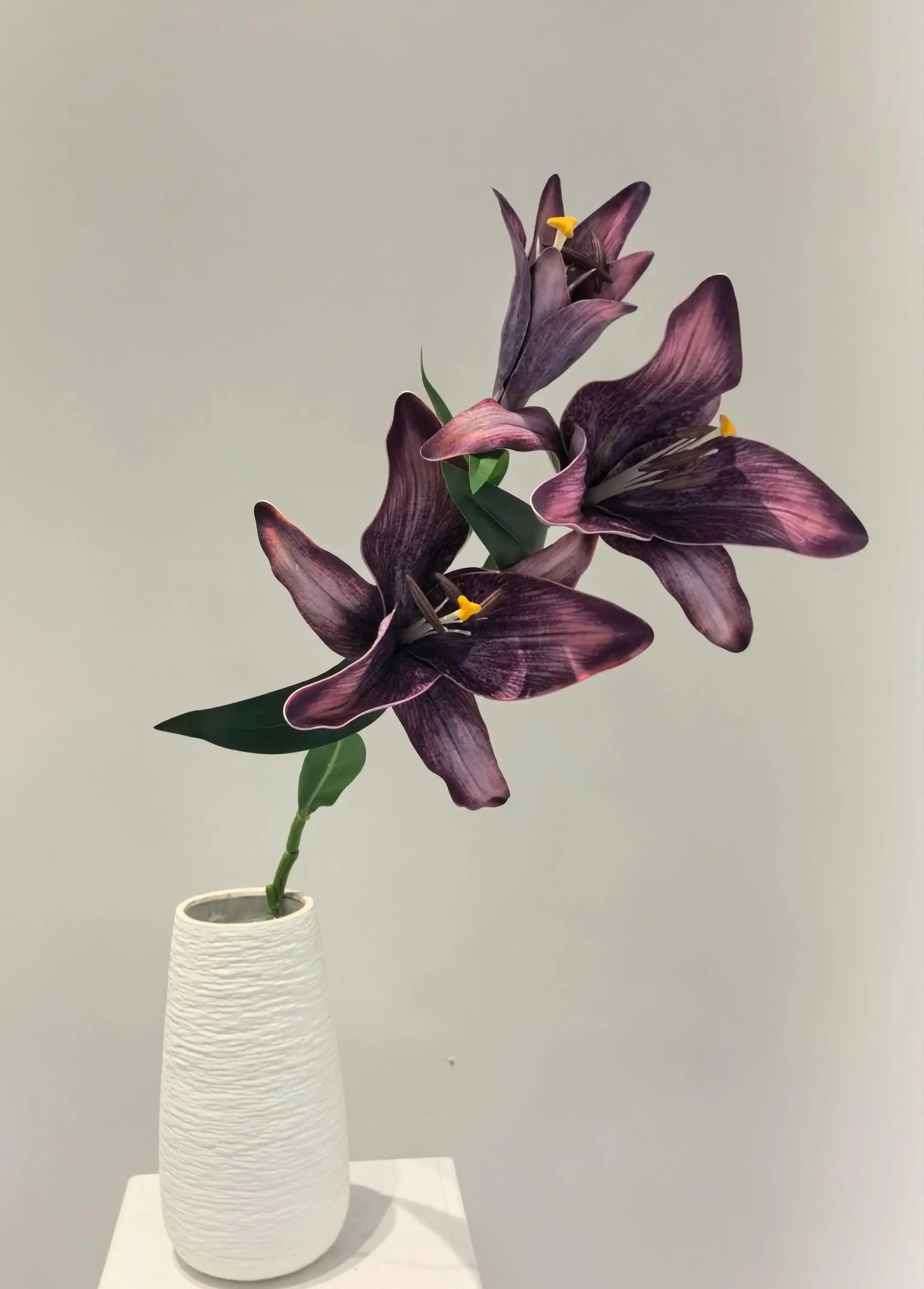 Real Touch Moisturizing Lily Celesta Atelier