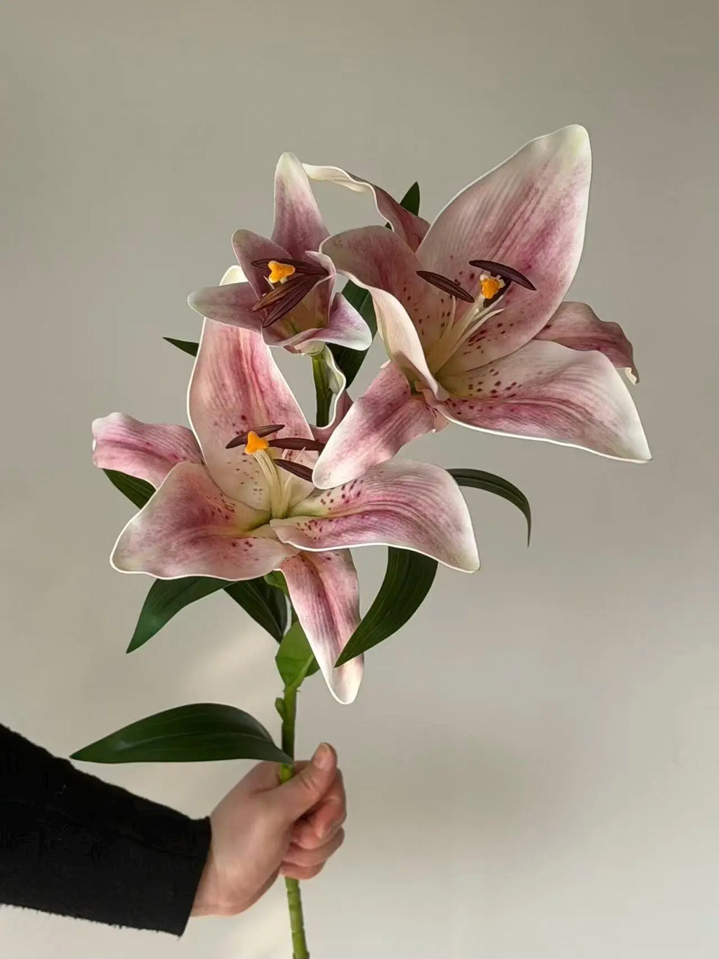 Real Touch Moisturizing Lily Celesta Atelier