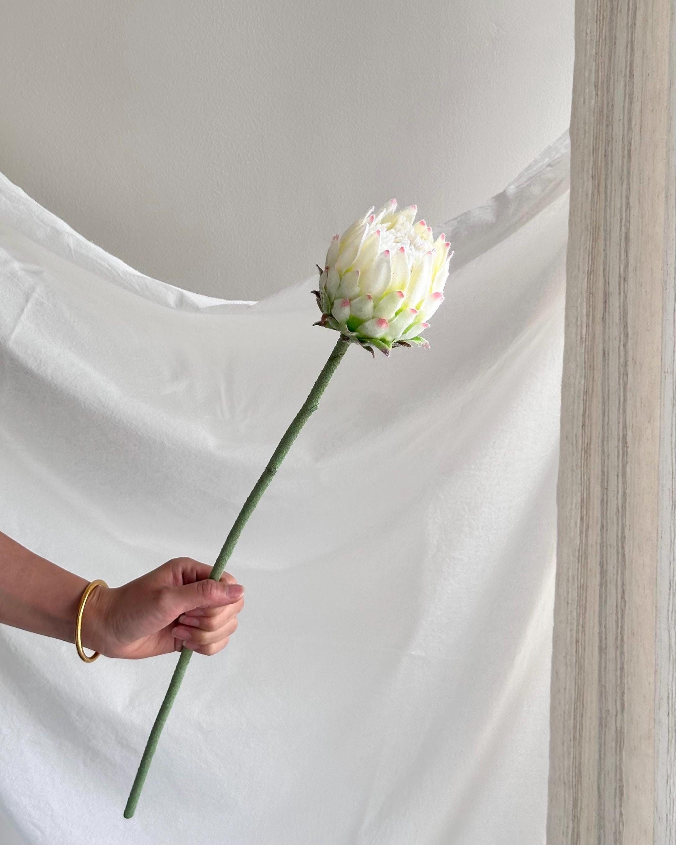 Artificial Green Protea Stem