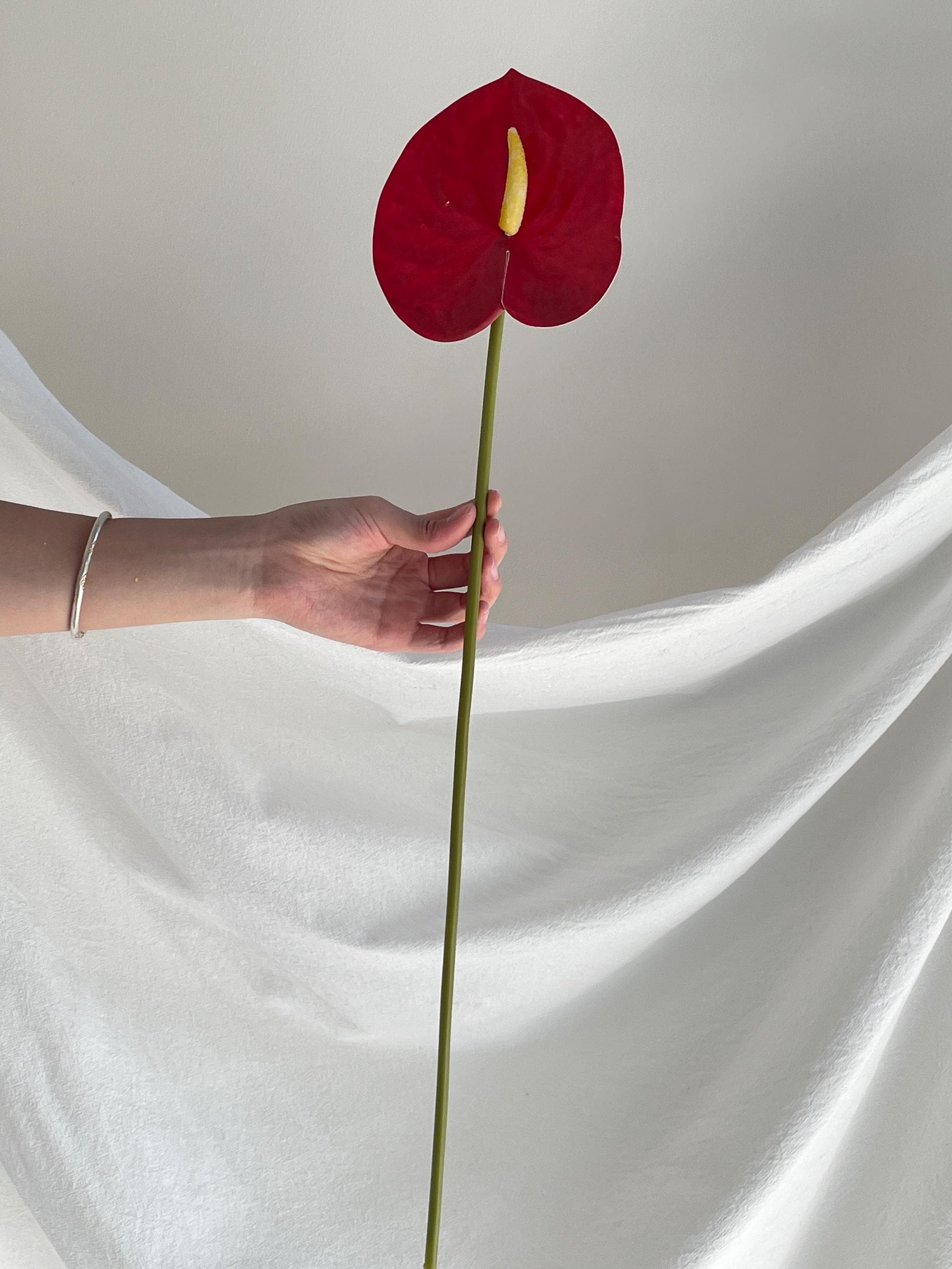 Artificial Anthurium Stems
