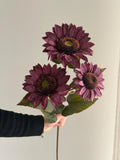 Real Touch White Sunflowers Celesta Atelier