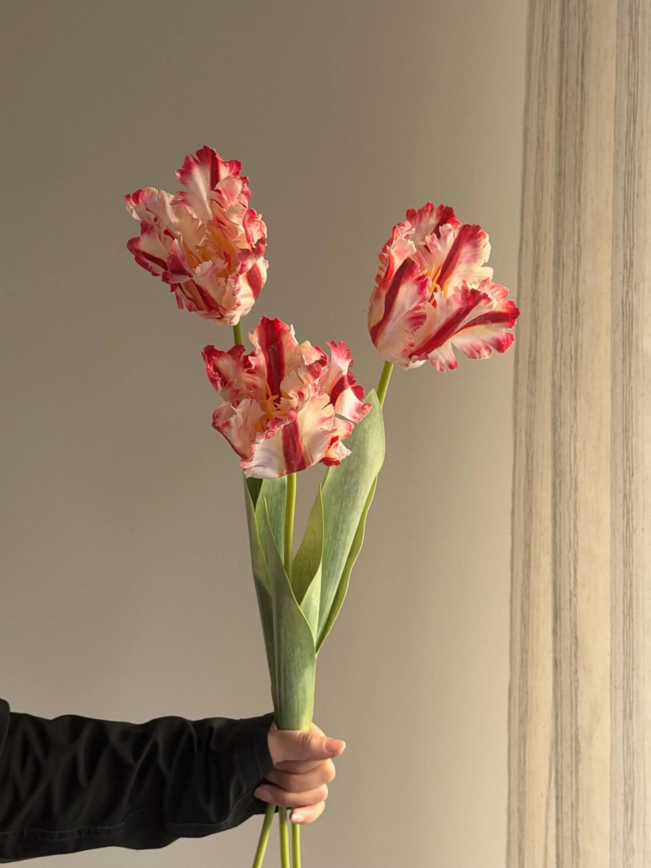 Real Touch parrot tulips, artificial tulips Celesta Atelier