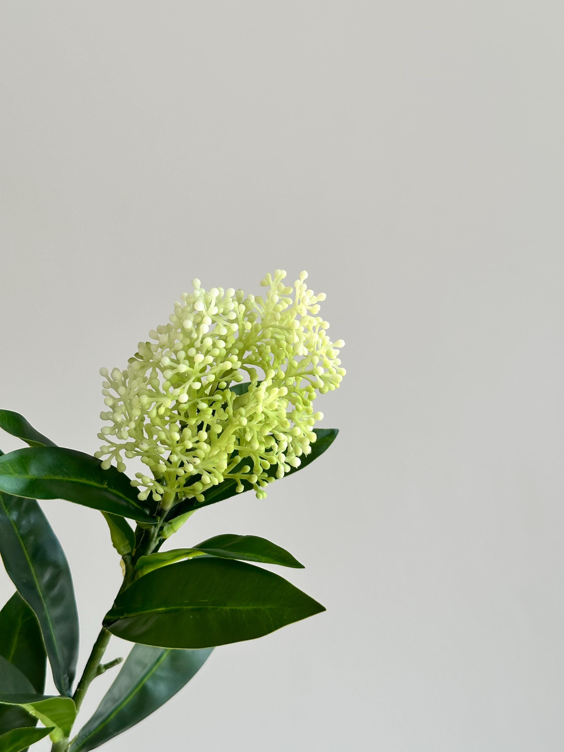 28" Artificial Seeded Branch Green, Real Touch Artificial Plant, DIY Wedding/Home Decoration/Gifts for Mum, Holiday Decorations Faux Flower Place