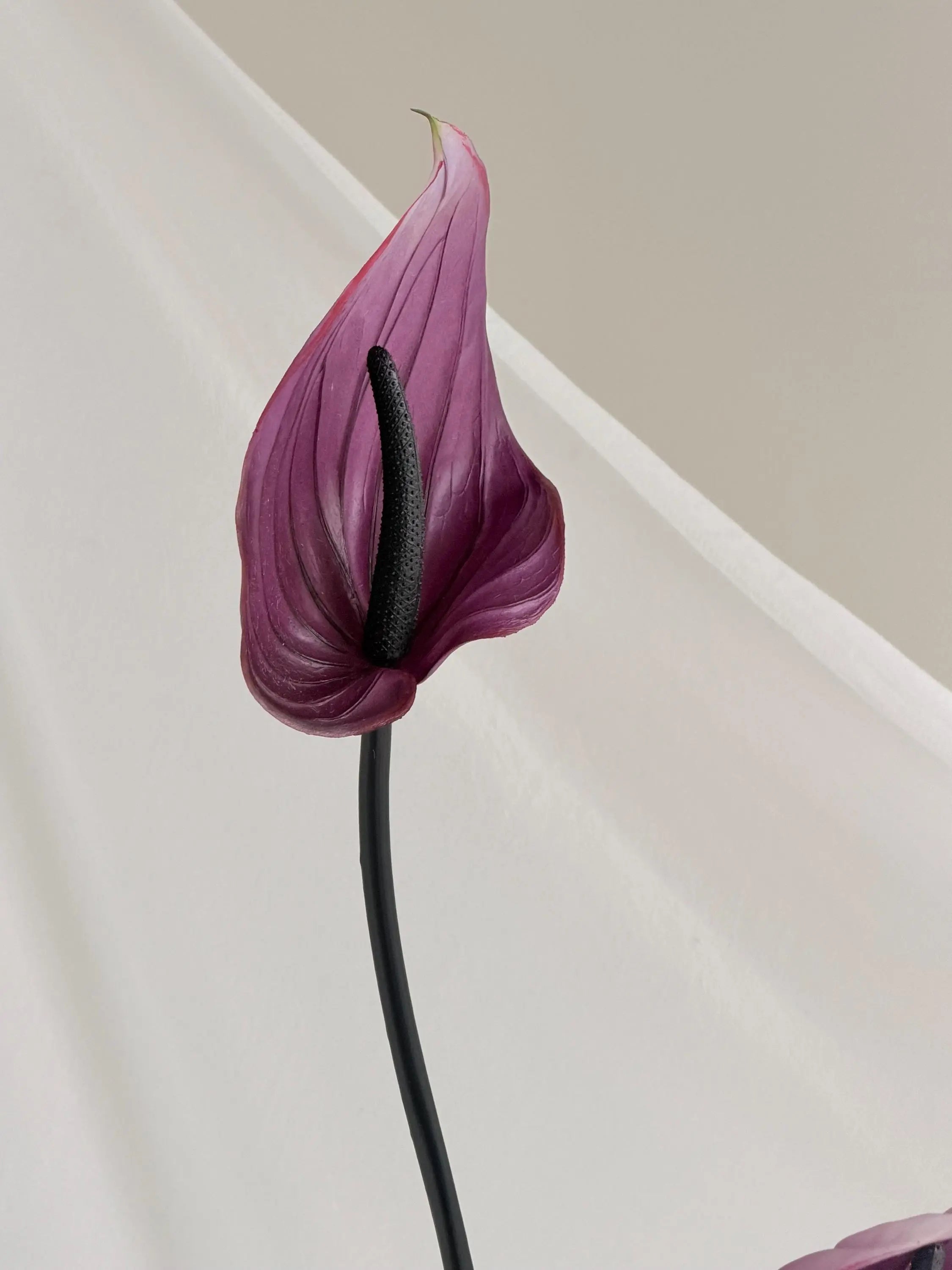 Artificial Anthurium Stems Faux Flower Place