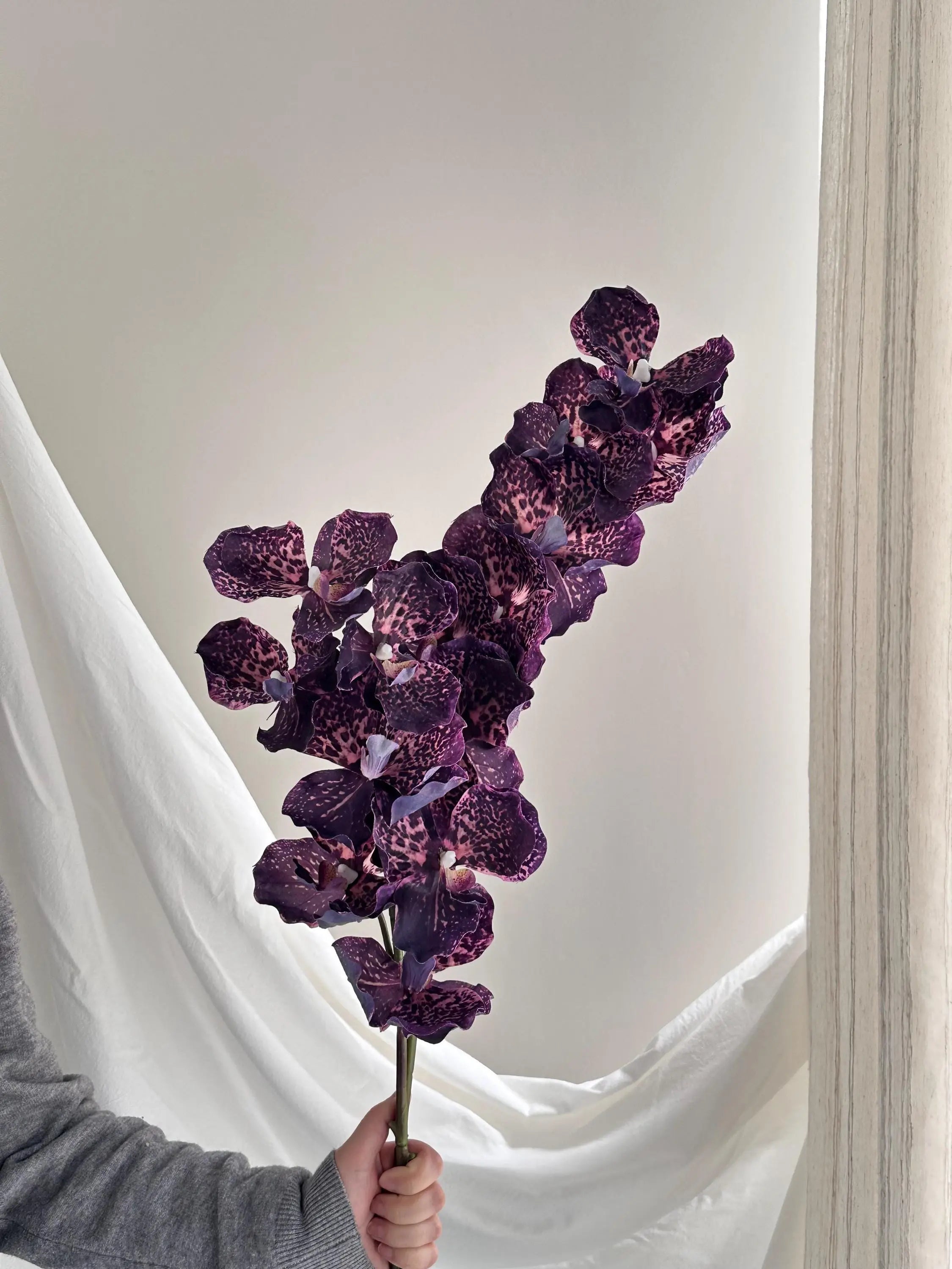 Artificial Psychedelic Phalaenopsis Orchid Faux Flower Place