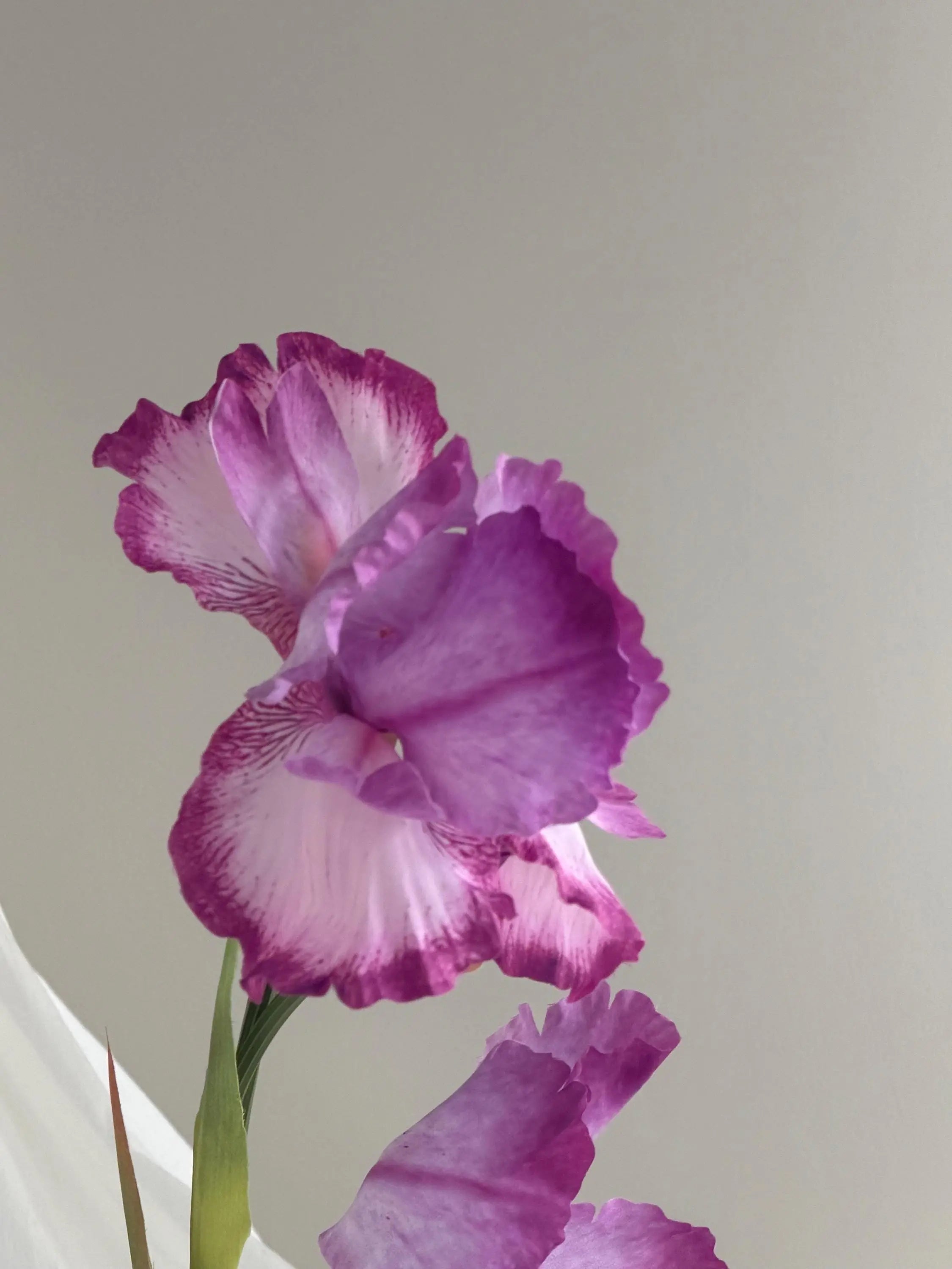 Silk Artificial Iris Flowers, Faux irises flower, Real Touch iris flower, flower arrangement for home wedding decor Faux Flower Place