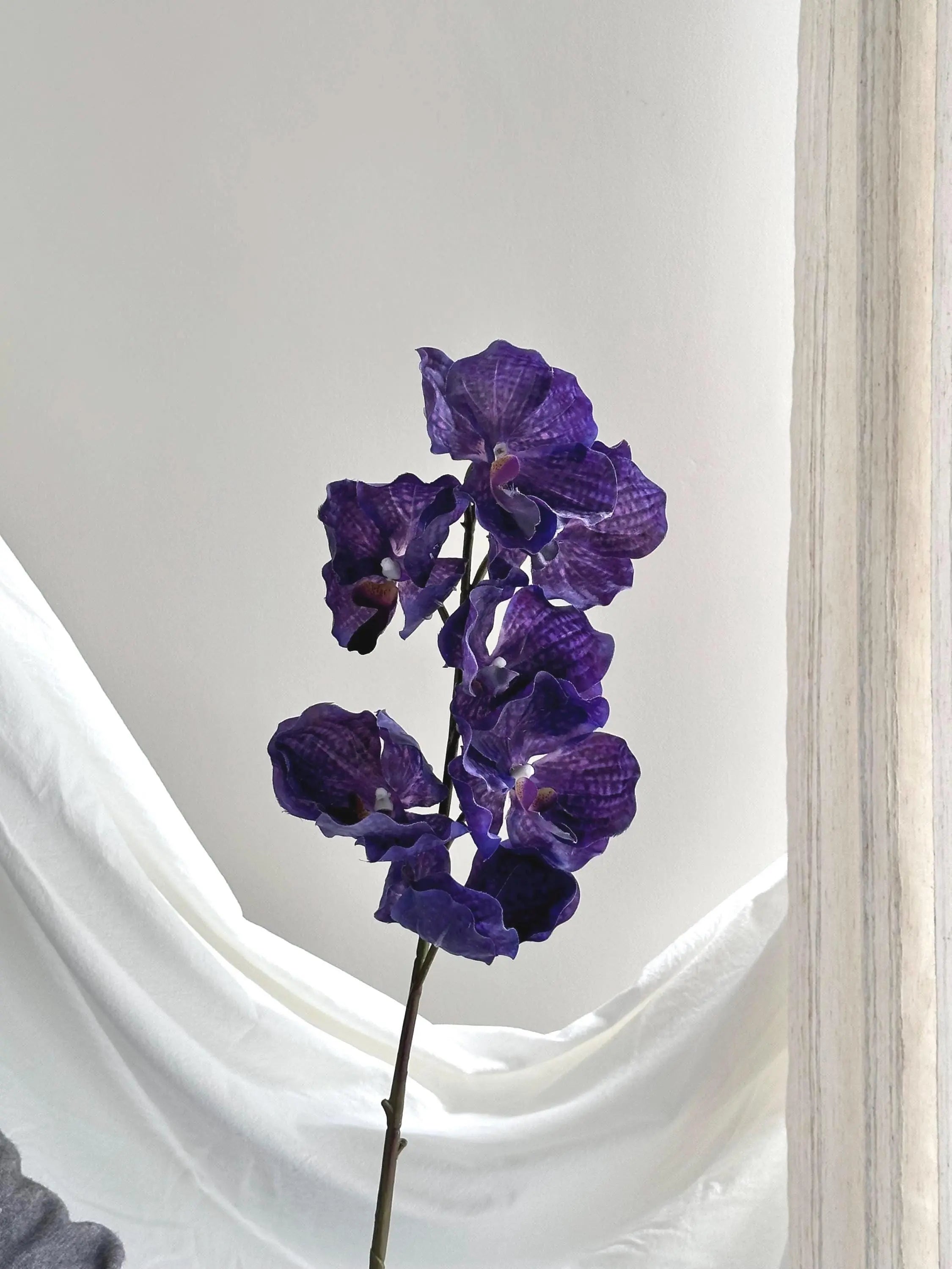 Artificial Psychedelic Phalaenopsis Orchid Faux Flower Place