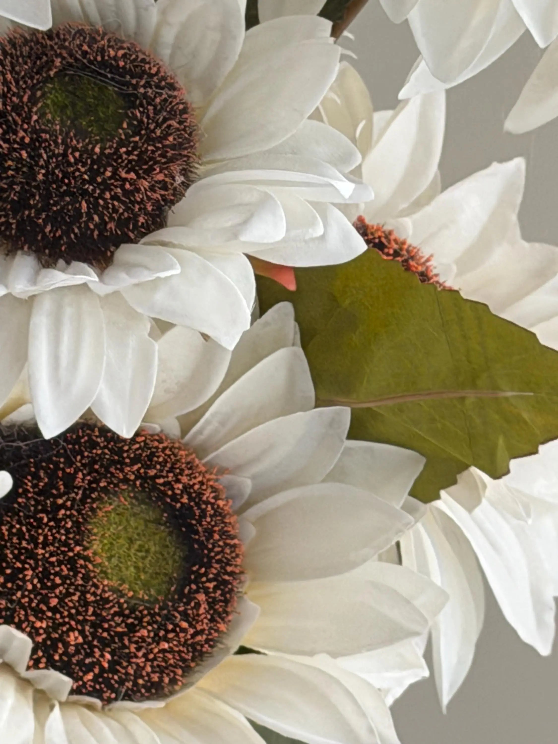 Real Touch White Sunflowers Celesta Atelier