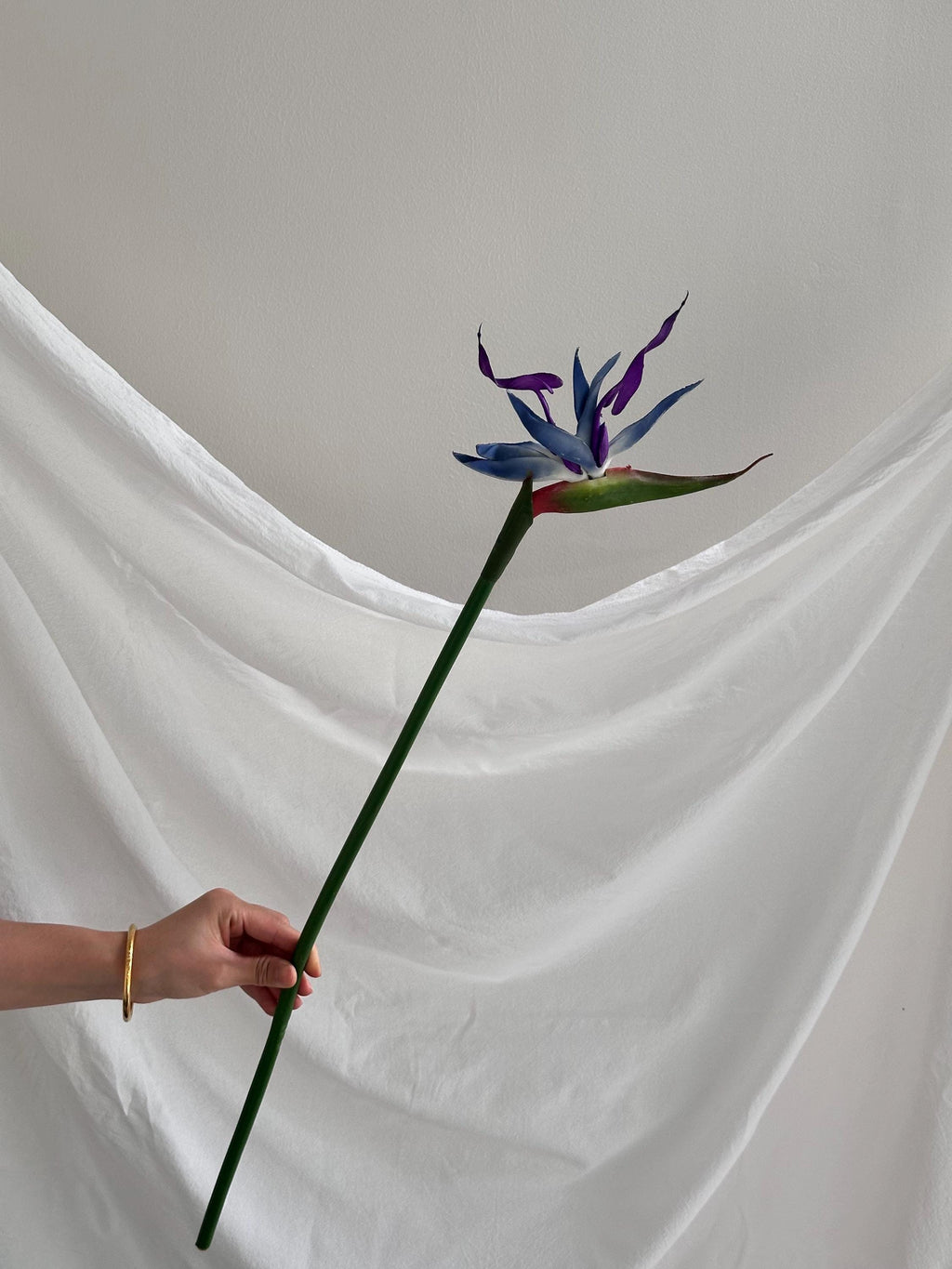 Artificial Bird of Paradise Stem
