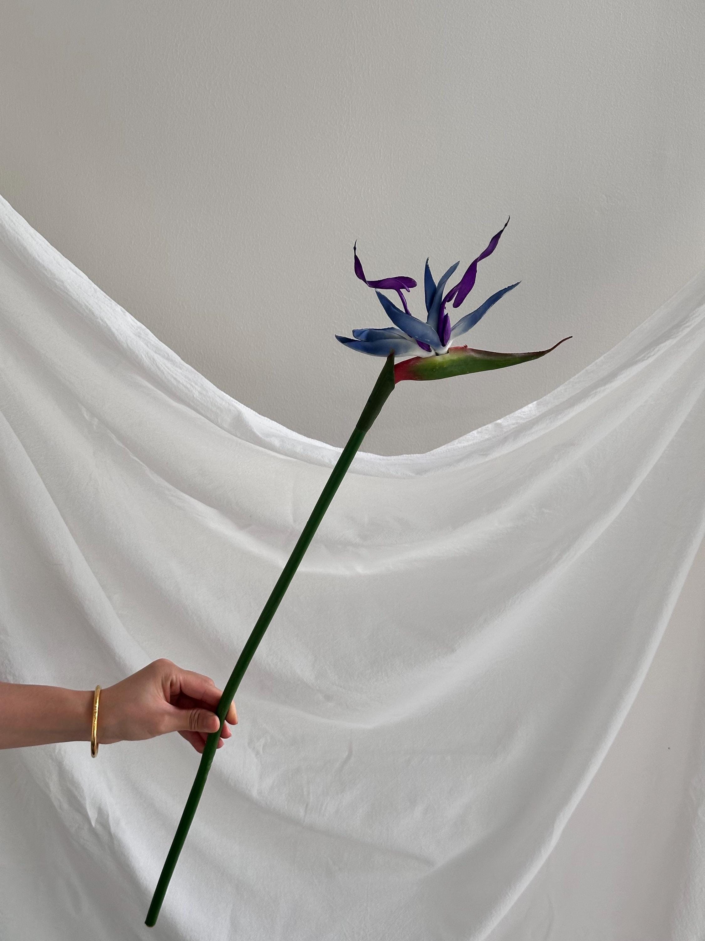 Artificial Bird of Paradise Stem