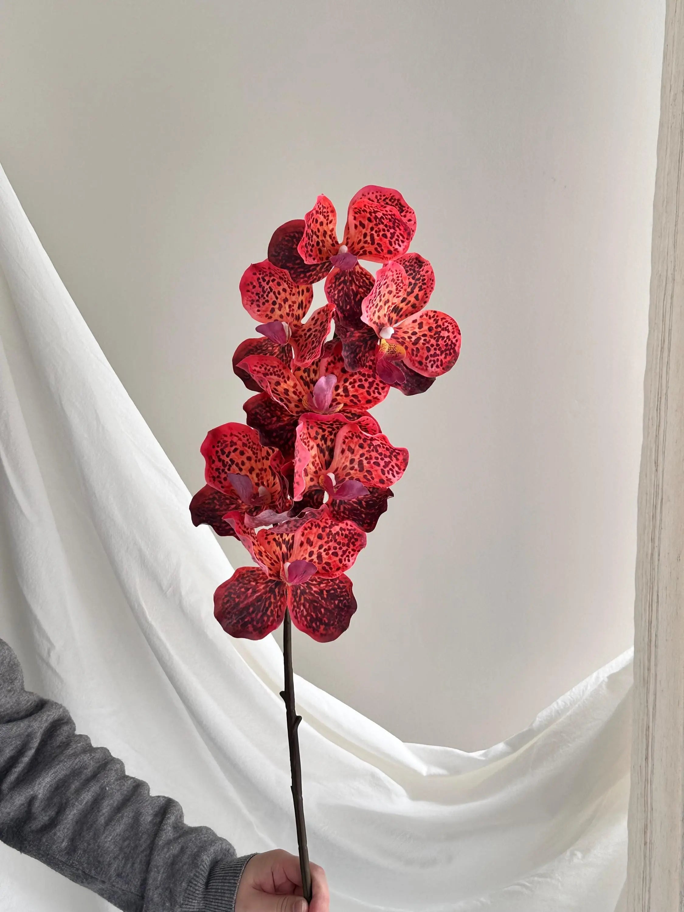 Artificial Psychedelic Phalaenopsis Orchid Faux Flower Place