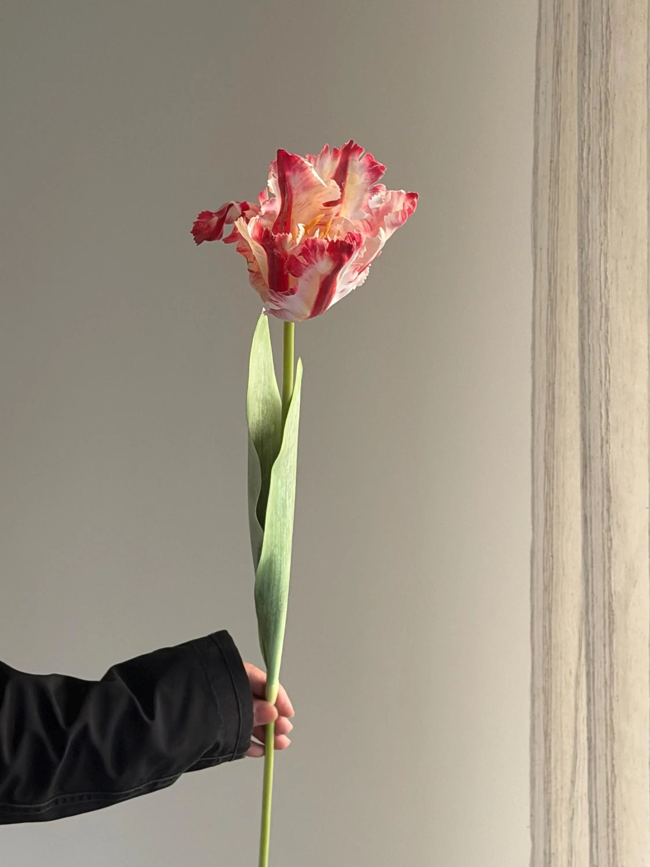 Real Touch parrot tulips, artificial tulips Celesta Atelier