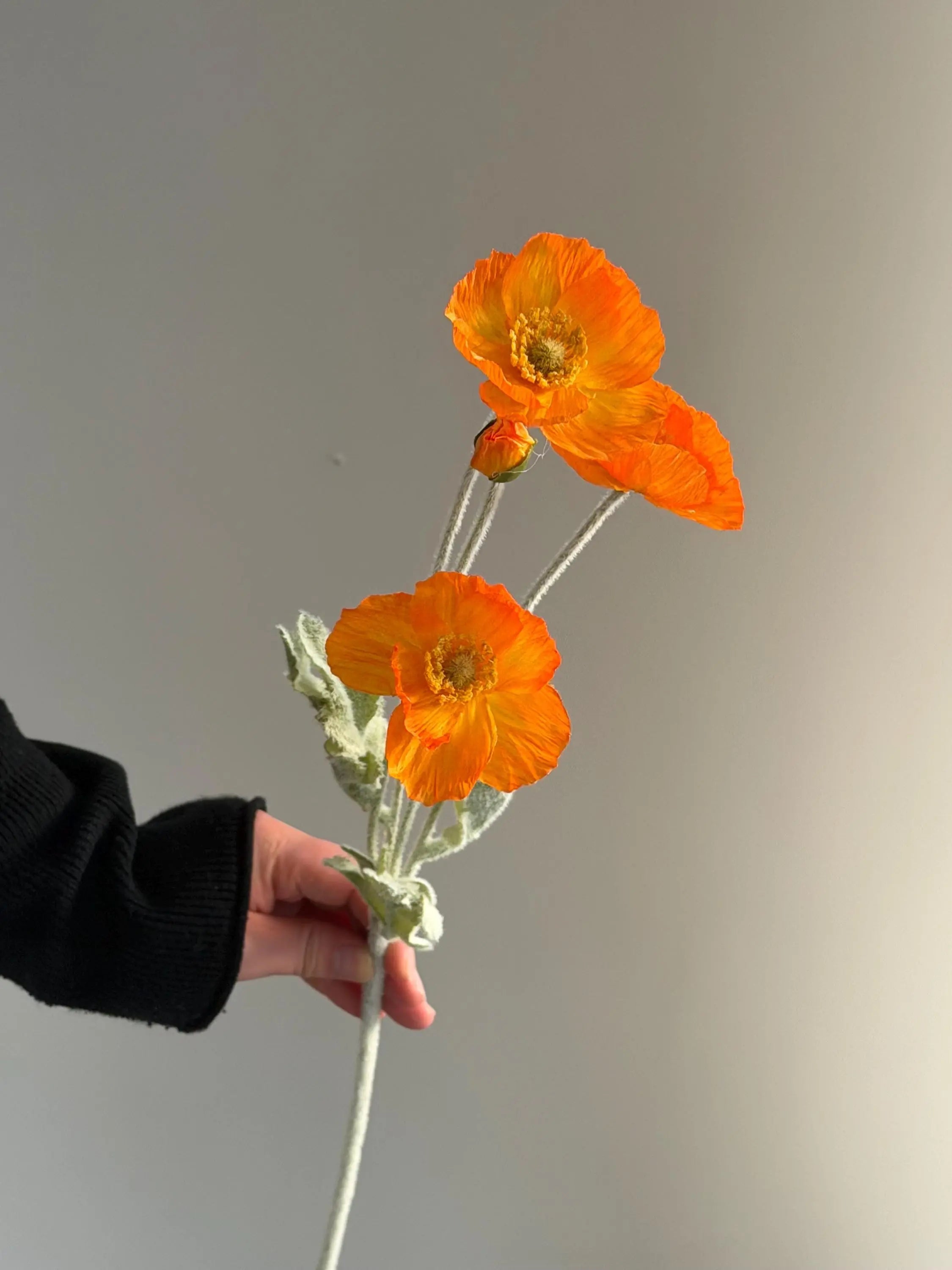 Artificial Iceland Poppy Celesta Atelier