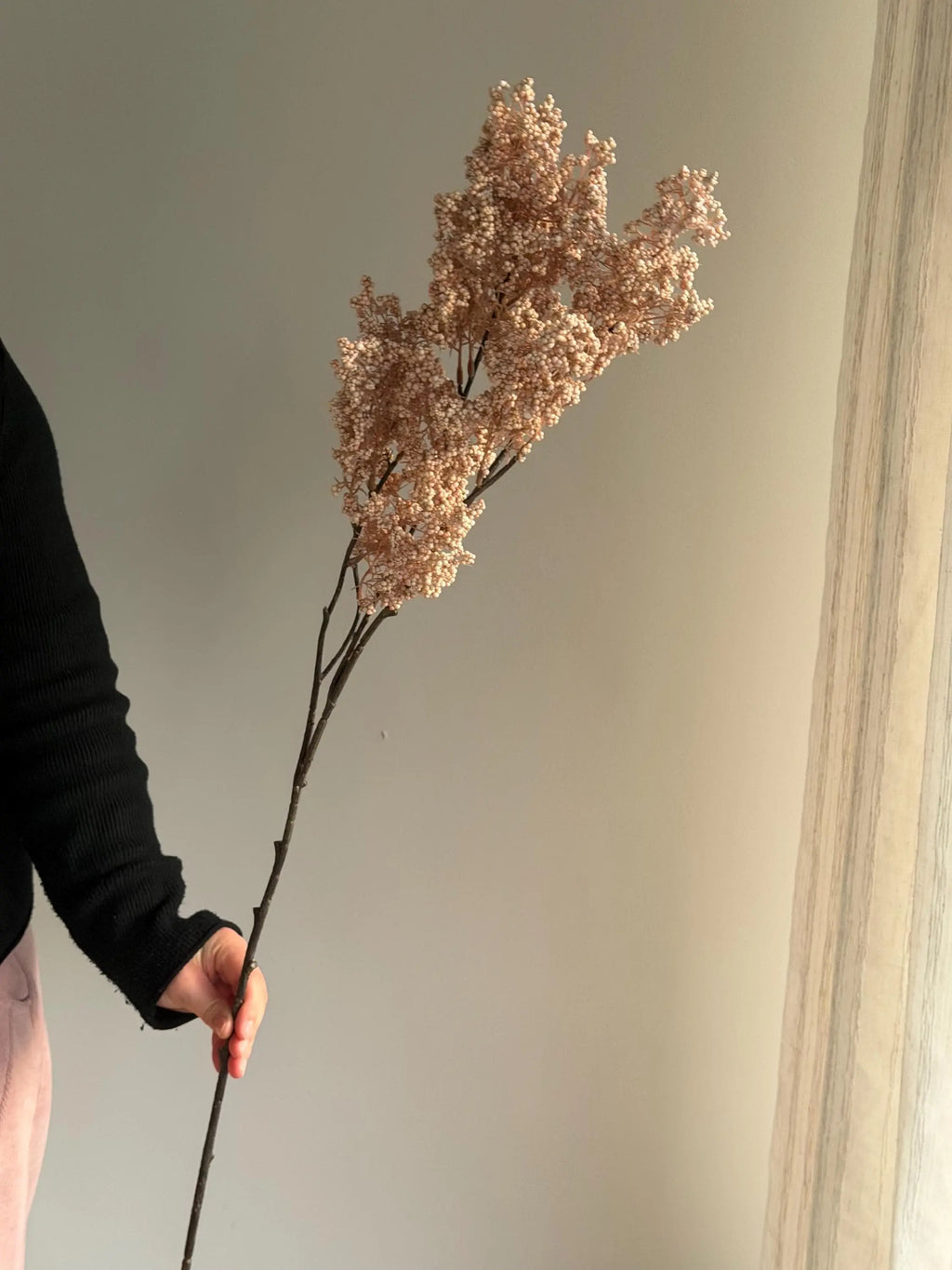 Long Stems Plum Berries, Dusty Berry Stems Celesta Atelier