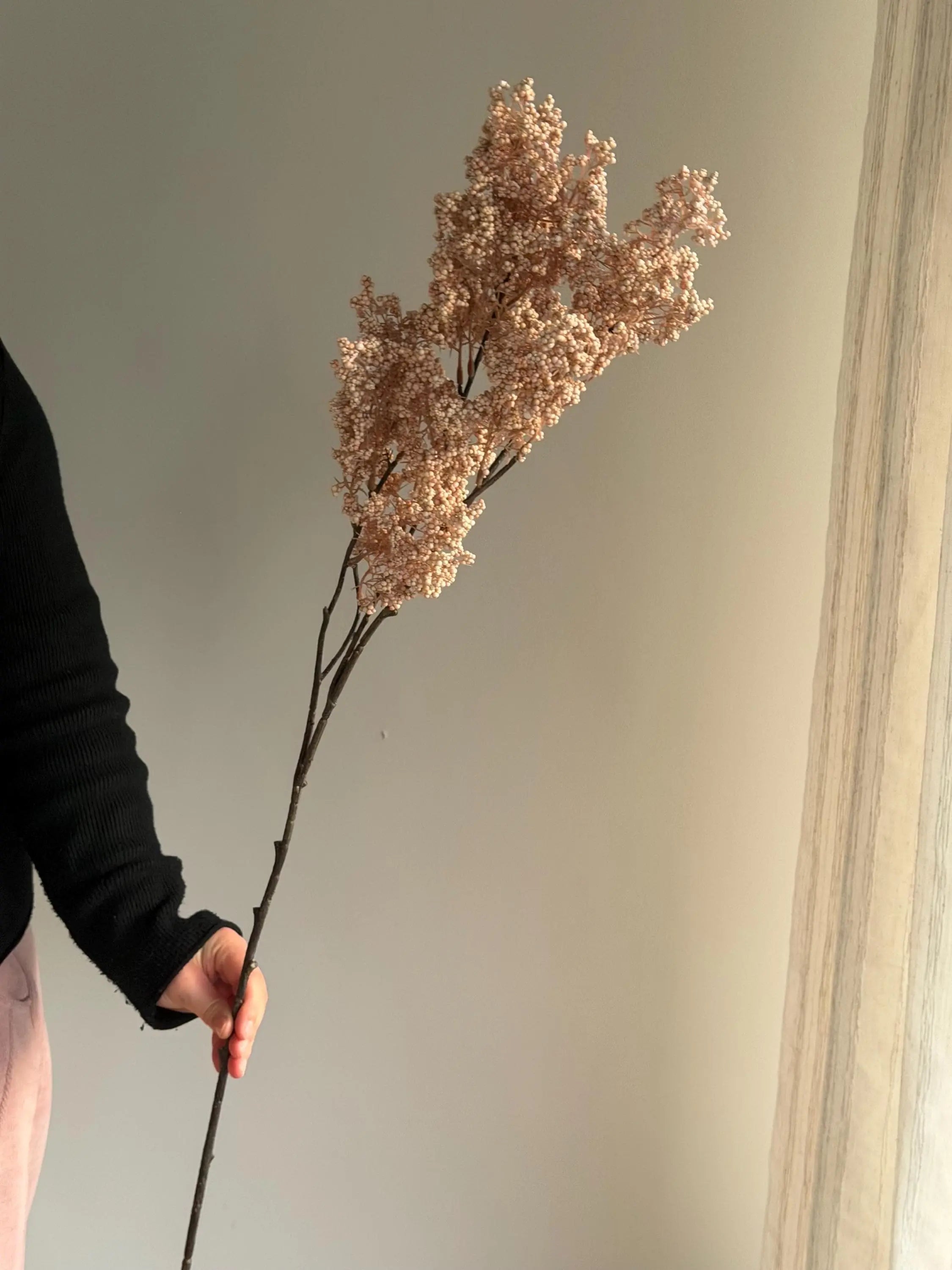 Long Stems Plum Berries, Dusty Berry Stems Celesta Atelier