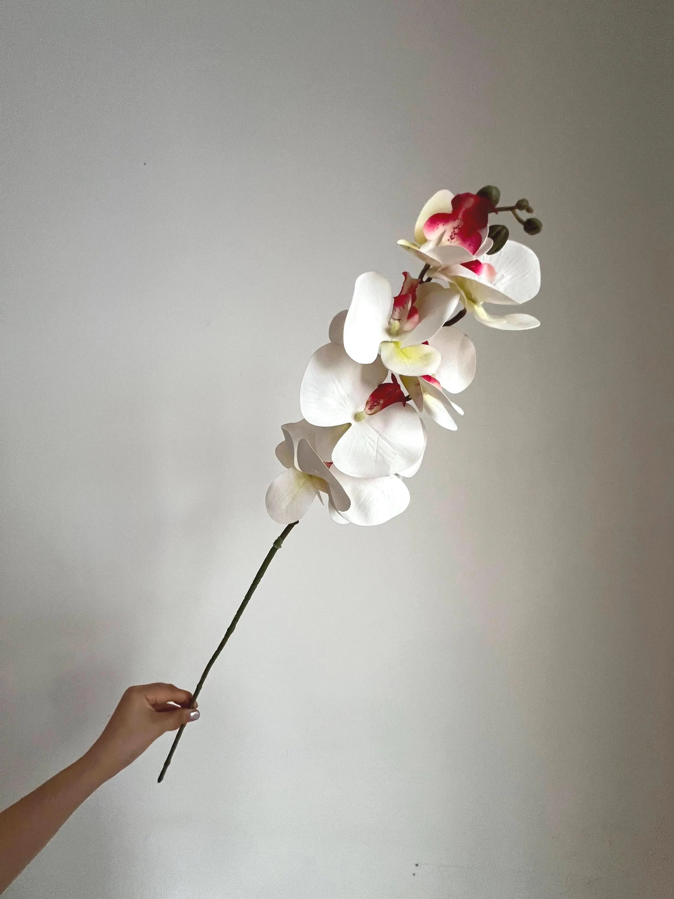 White Faux Orchid Spray, Artificial Orchid Celesta Atelier