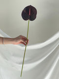 Artificial Anthurium Stems
