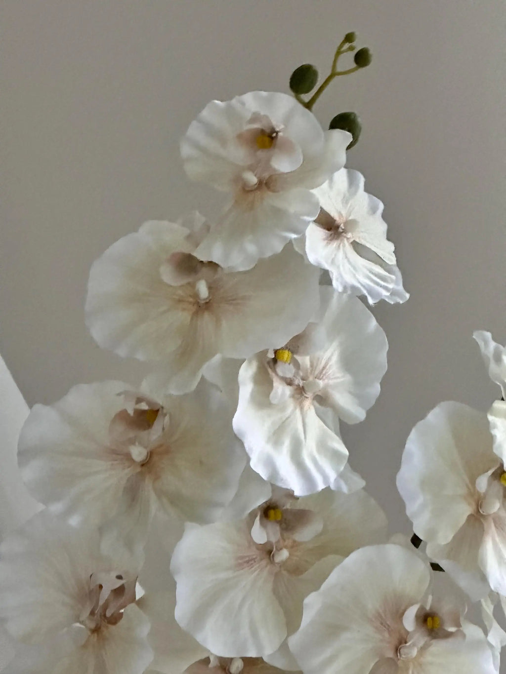 Faux Mitsuo orchids, Artificial Plants, Oncidium orchids, Wedding Home Decorations, Fake Flowers for House Warming Gifts Faux Flower Place