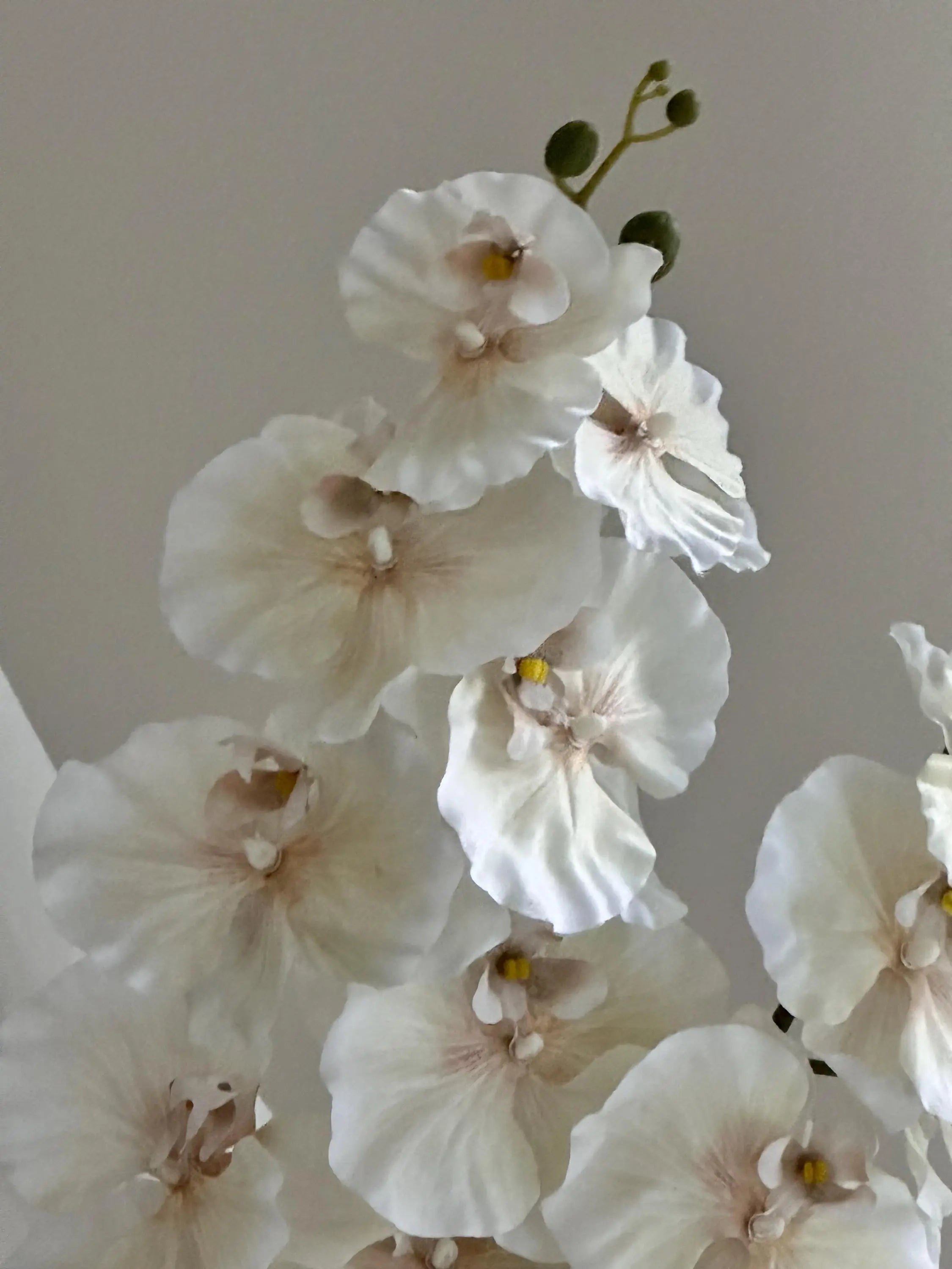 Faux Mitsuo orchids, Artificial Plants, Oncidium orchids, Wedding Home Decorations, Fake Flowers for House Warming Gifts Faux Flower Place