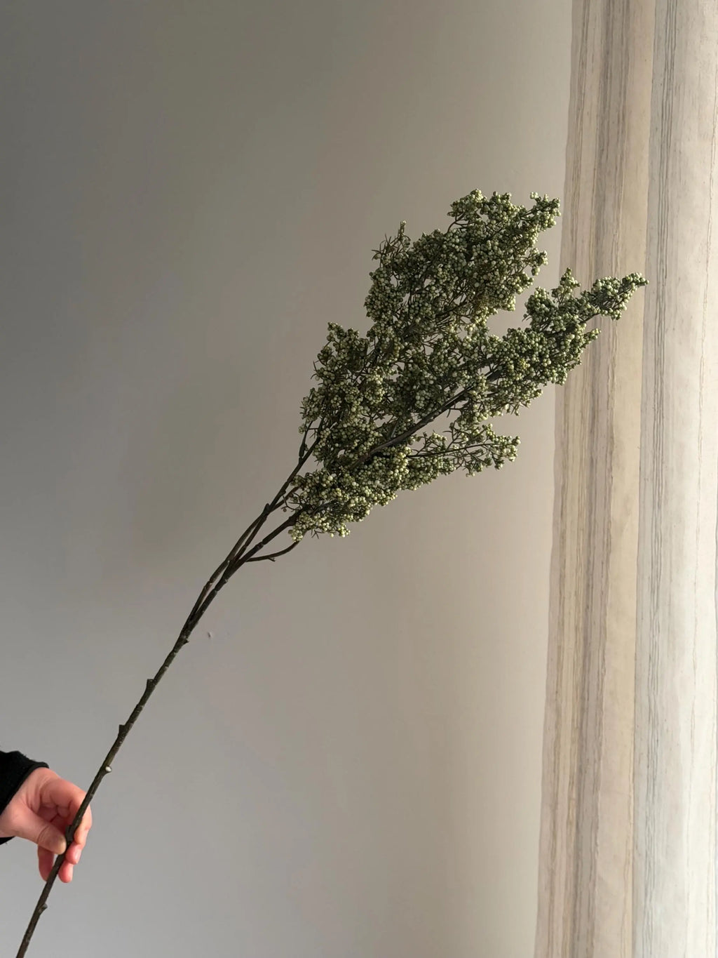 Long Stems Plum Berries, Dusty Berry Stems Celesta Atelier