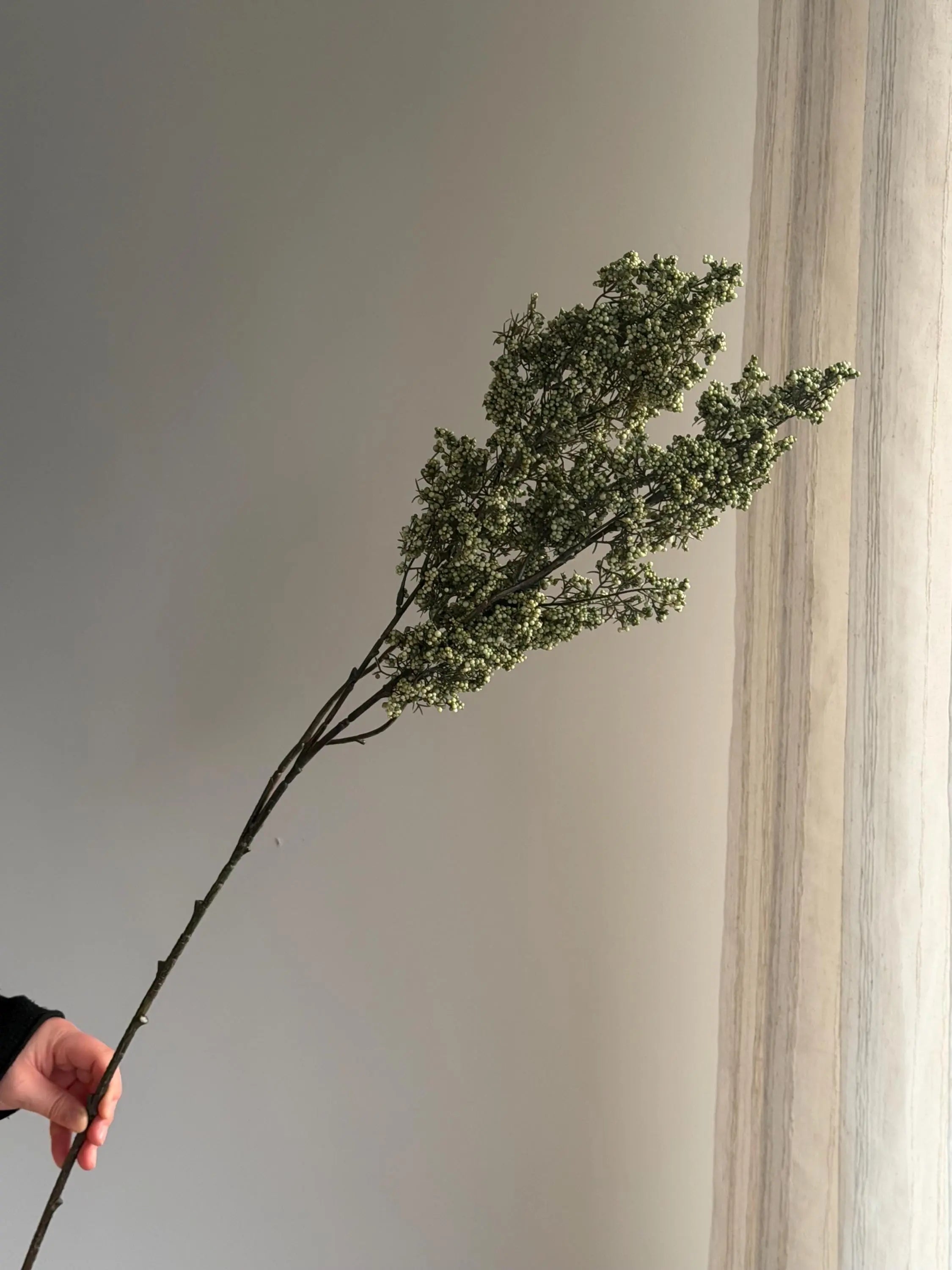 Long Stems Plum Berries, Dusty Berry Stems Celesta Atelier