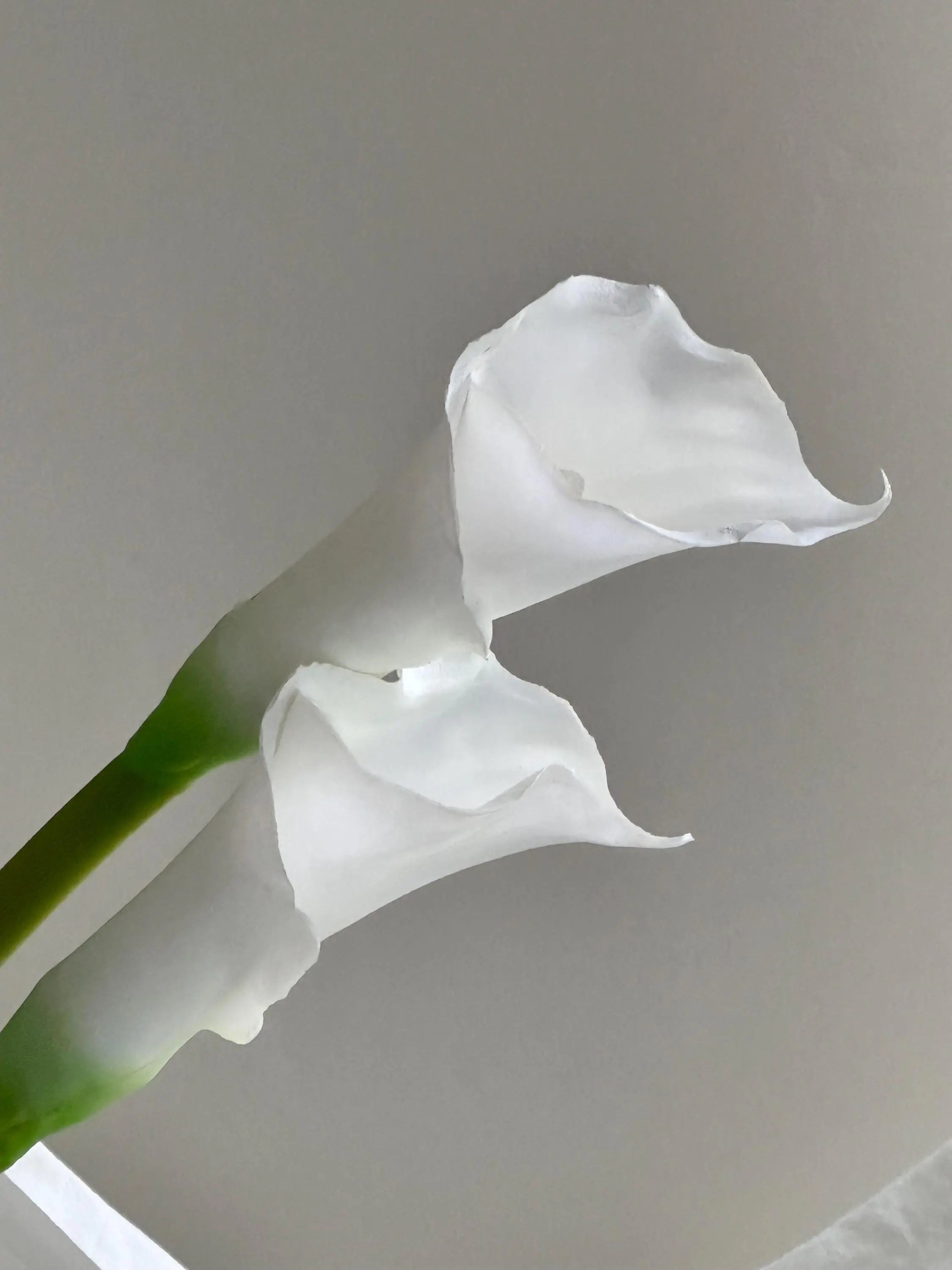 Faux Calla Lily for Bridal Shower, Faux lily of the valley, Calla Lily Bouquets, Wedding Ceremony Aisle Flower for Bride Faux Flower Place