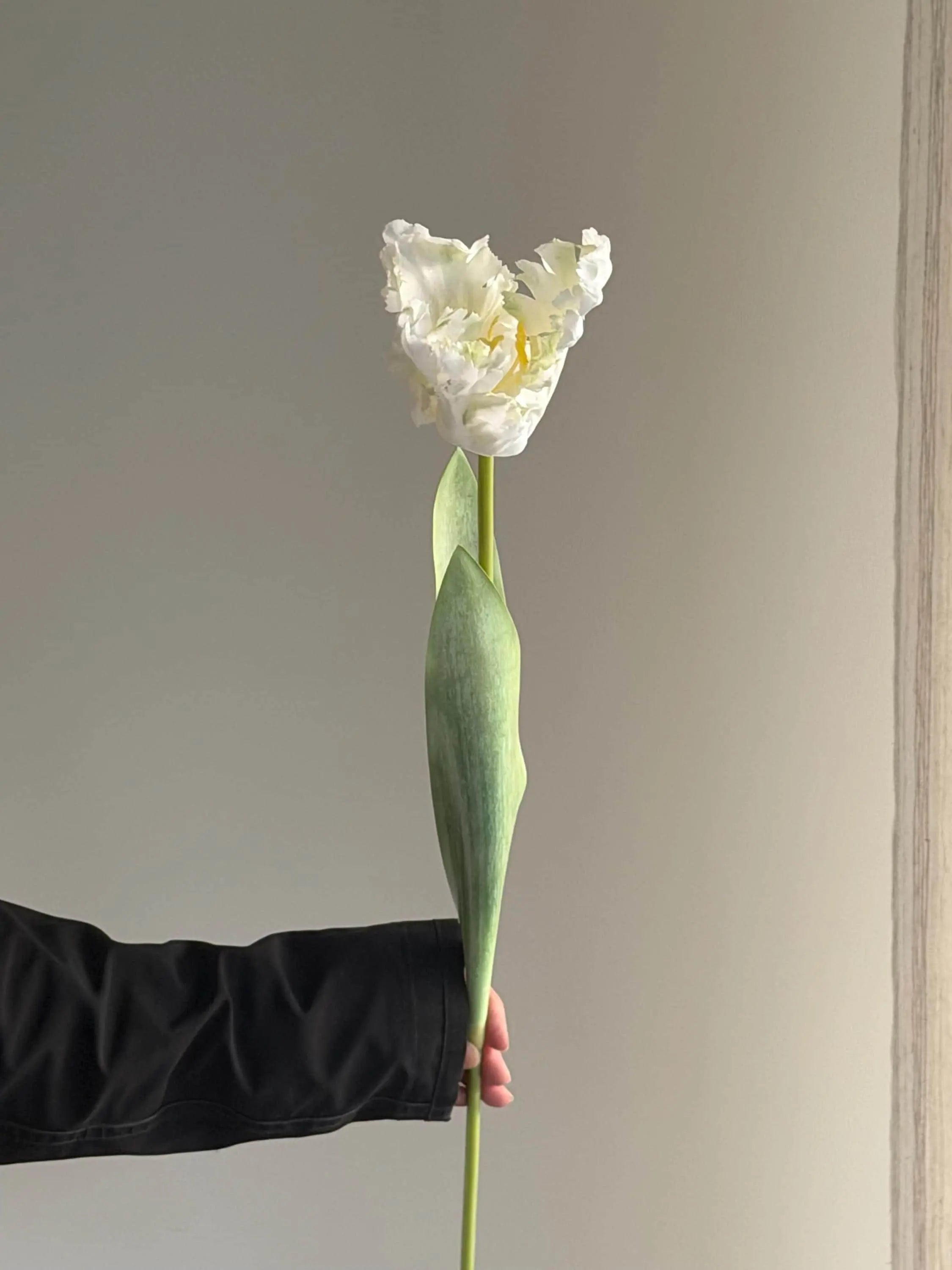 Real Touch parrot tulips, artificial tulips Celesta Atelier