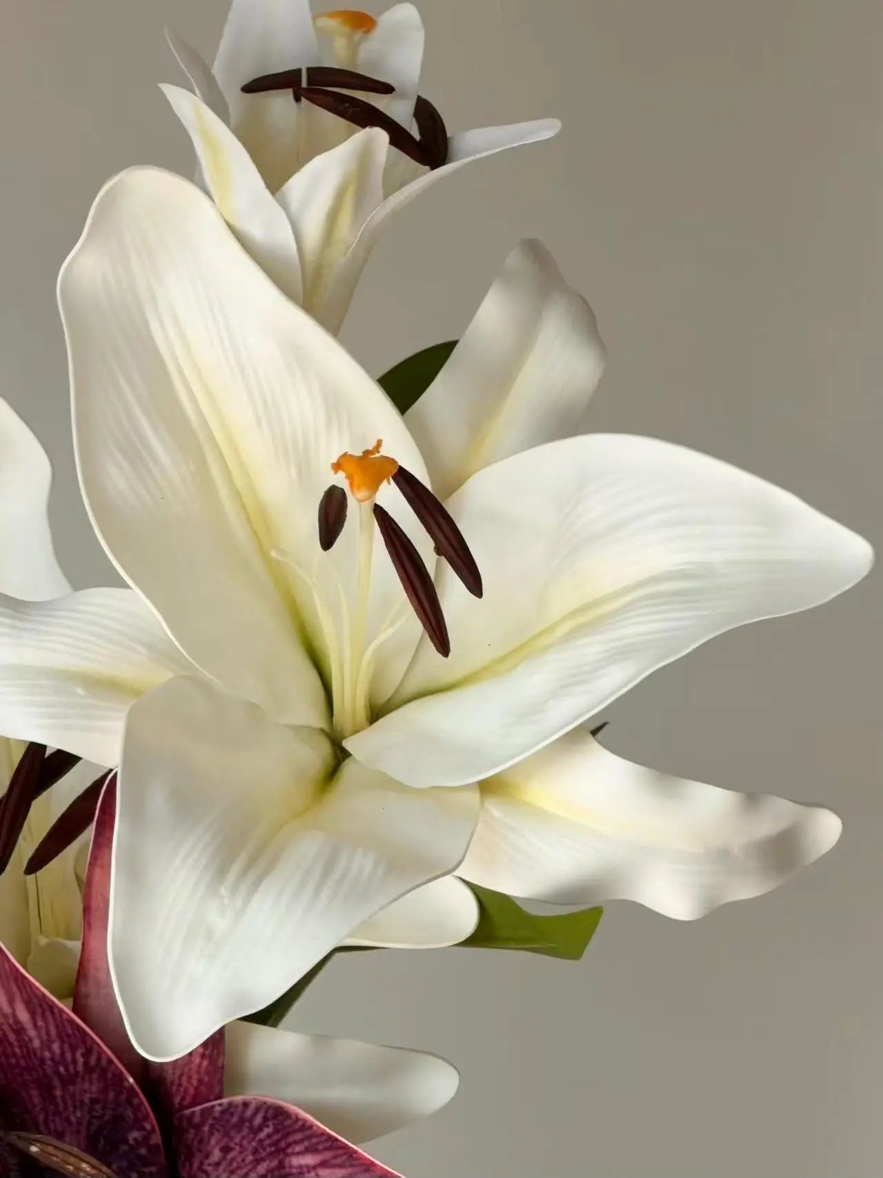 Real Touch Moisturizing Lily Celesta Atelier