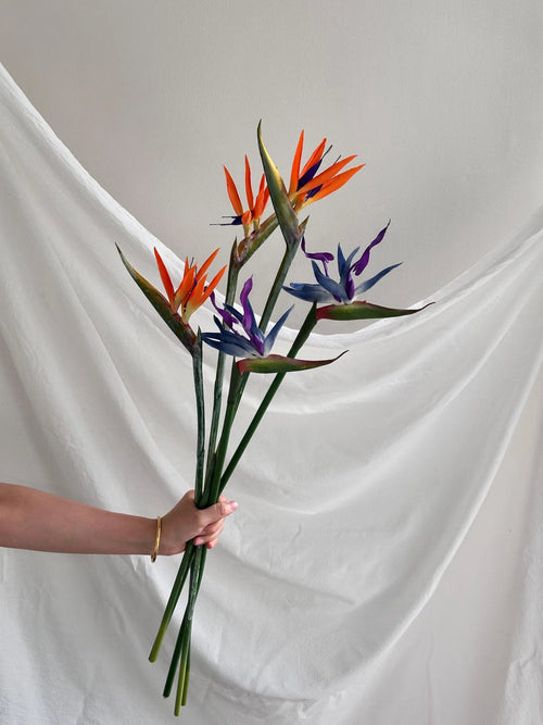 Artificial Bird of Paradise Stem Faux Flower Place