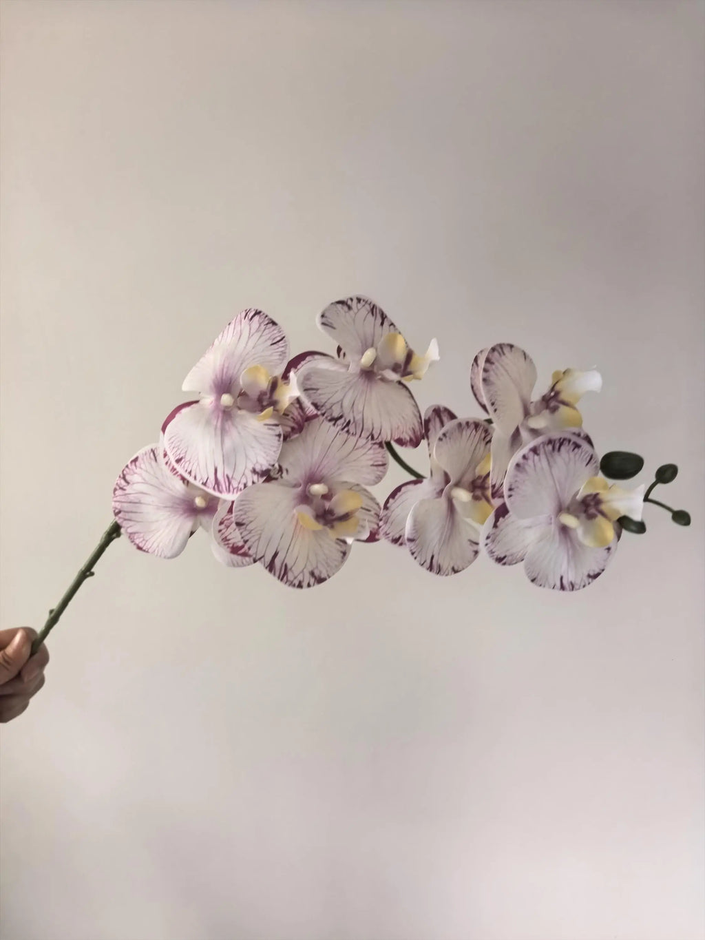 White Faux Orchid Spray, Artificial Orchid Celesta Atelier