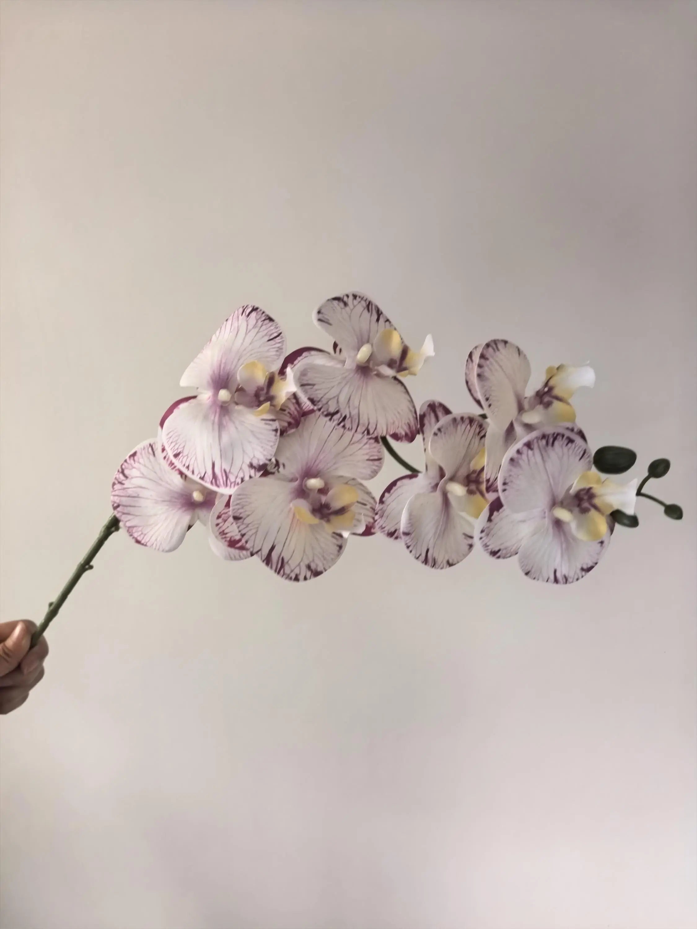 White Faux Orchid Spray, Artificial Orchid Celesta Atelier