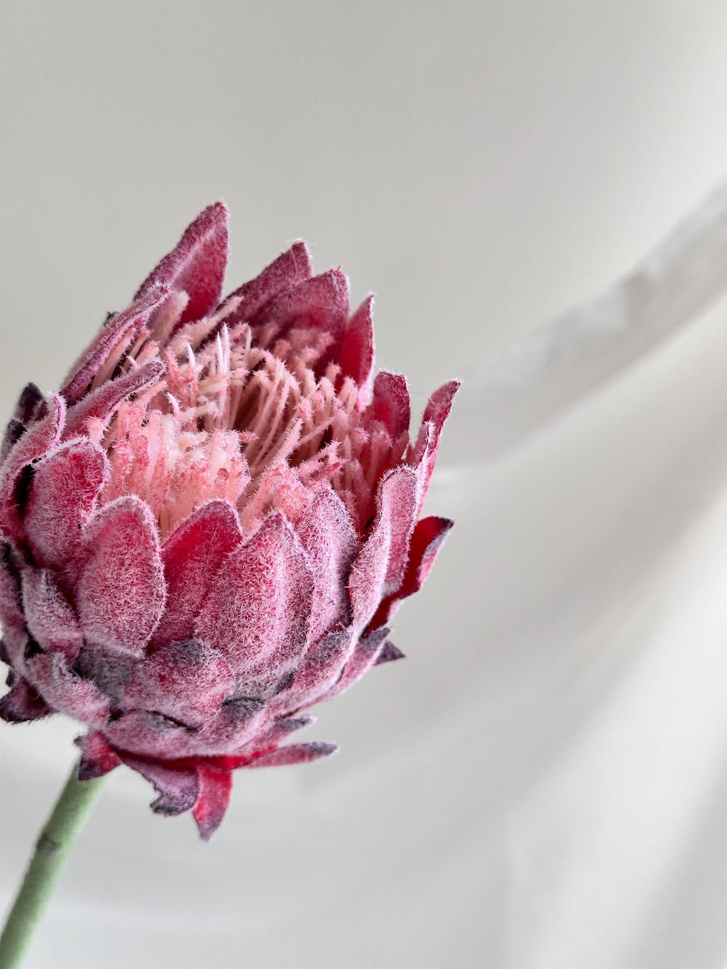 Artificial Green Protea Stem