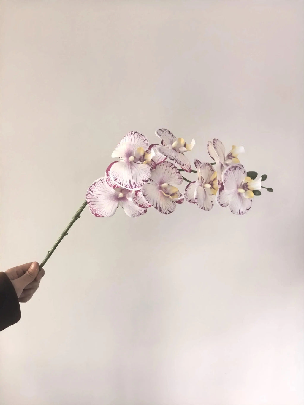 White Faux Orchid Spray, Artificial Orchid Celesta Atelier