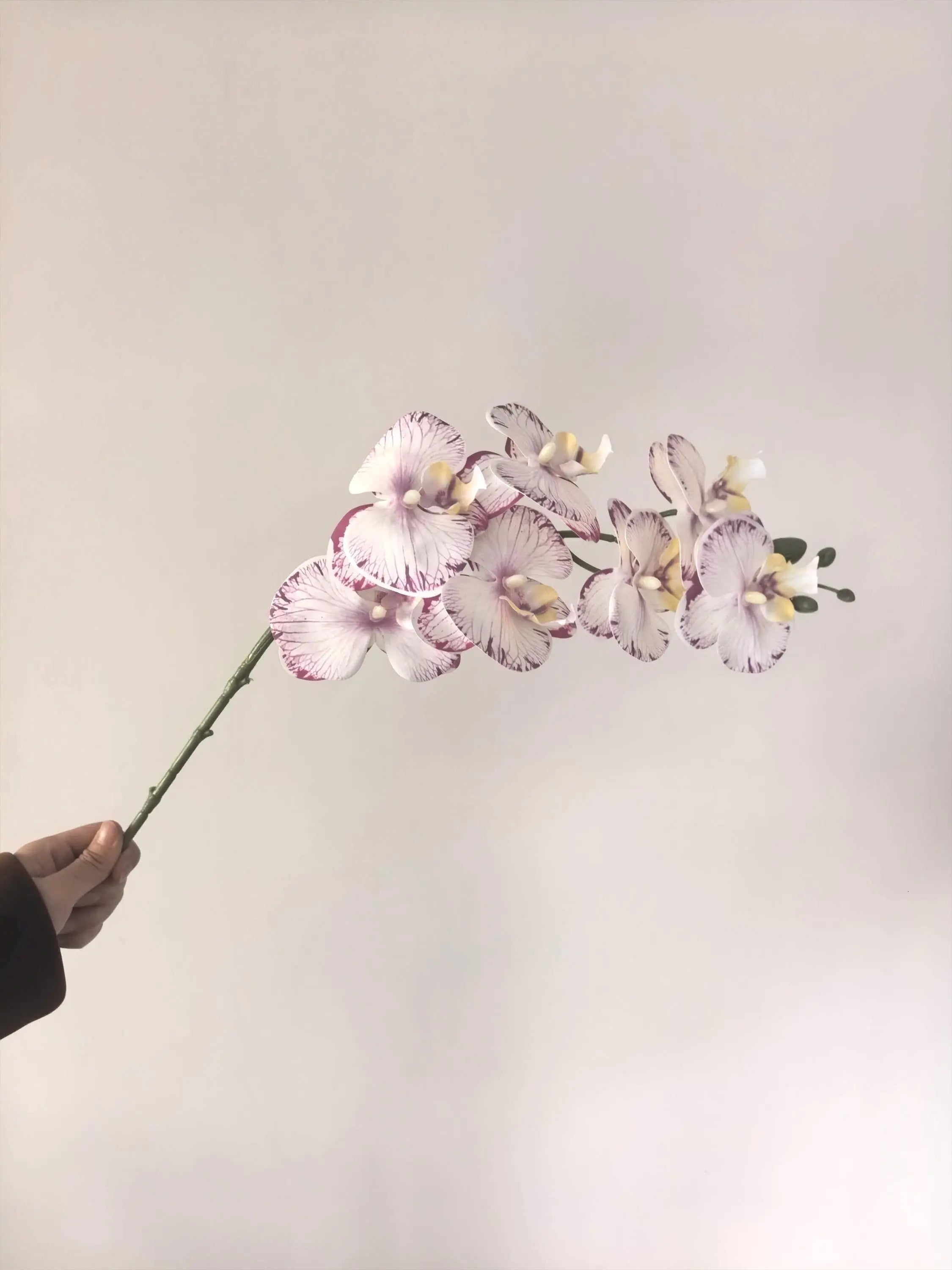 White Faux Orchid Spray, Artificial Orchid Celesta Atelier