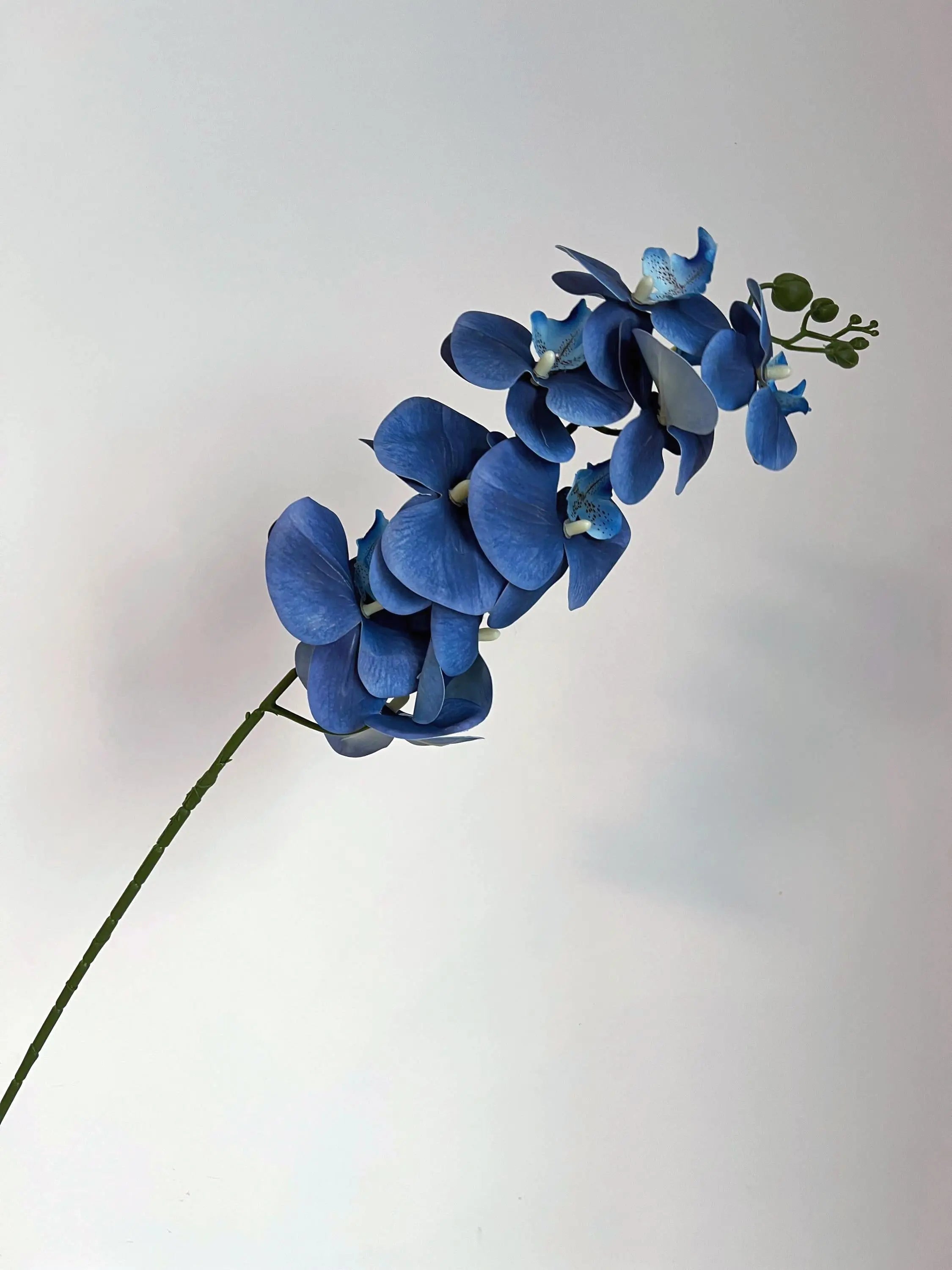 White Faux Orchid Spray, Artificial Orchid Celesta Atelier